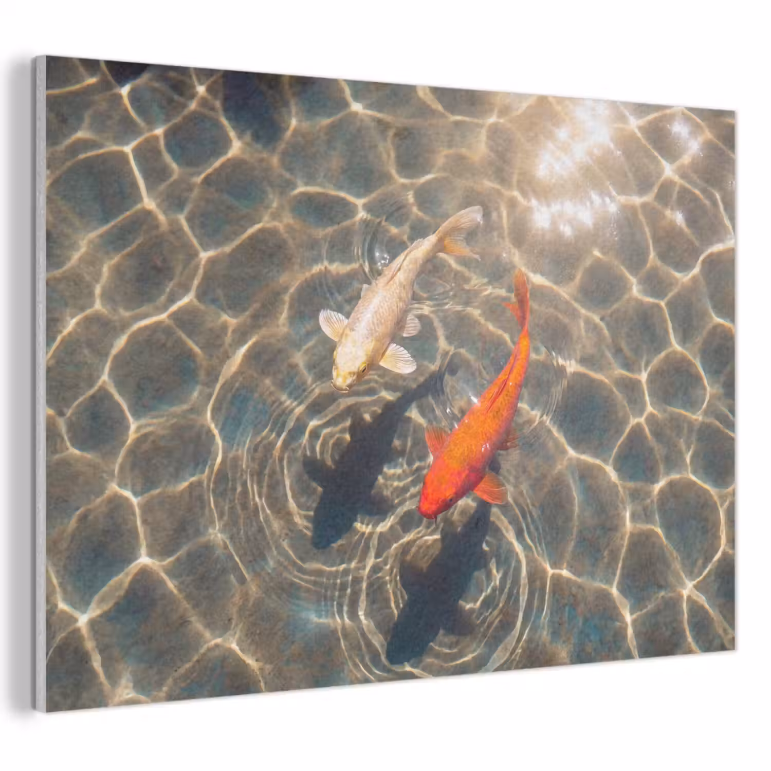 Vis - Water - Dieren - Oranje - Goud PET vilt klein -3d