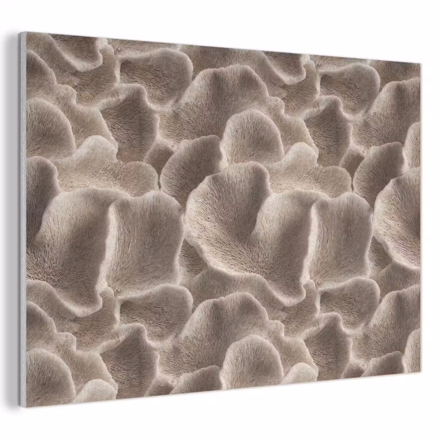 Waaiervorm - Beige - Vezel textuur PET vilt klein 837 -3d