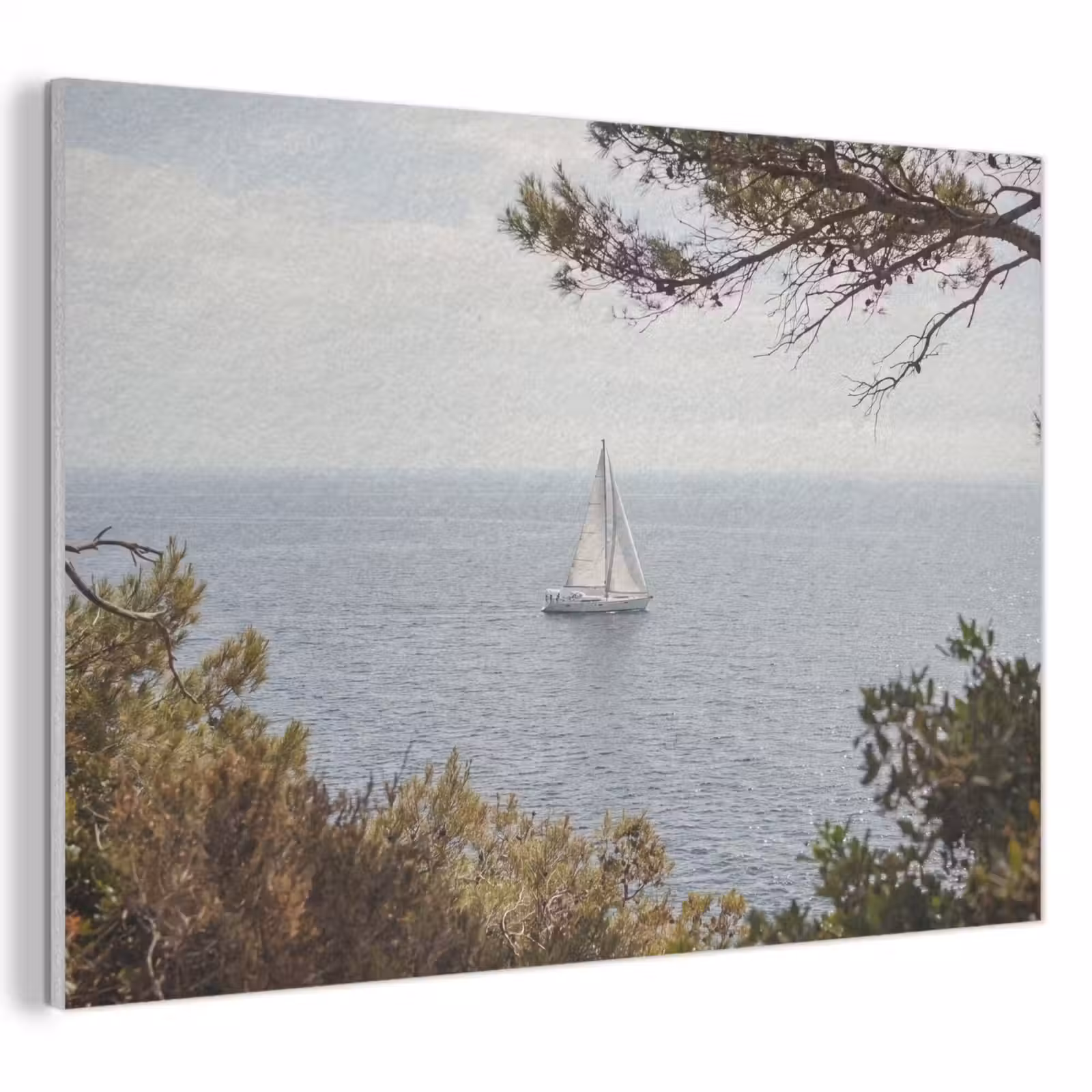 Akoestisch schilderij - Zeilboot - bomen - water - Zeilboot - bomen - water PET vilt klein