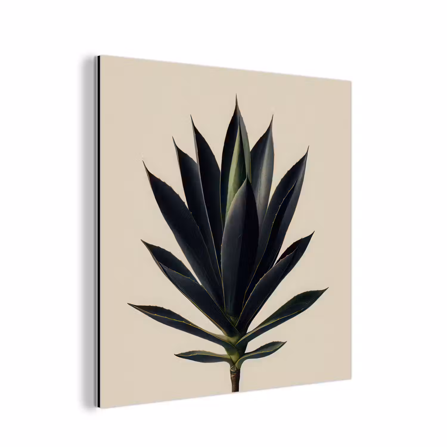 Agaveplant - Symmetrisch - Groen aluminium wit klein -3d
