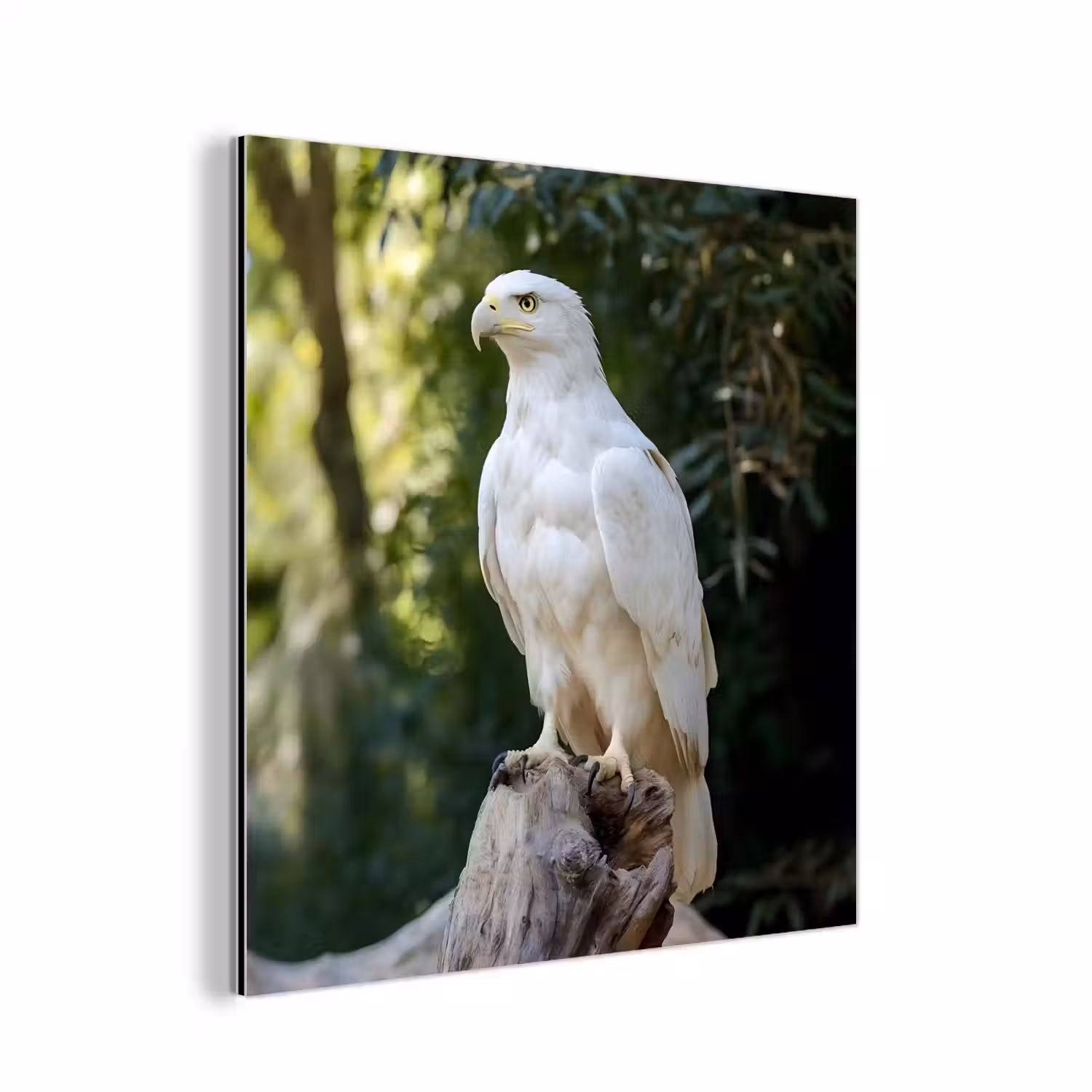 Arend - Hout - Wit - Planten aluminium wit klein -3d