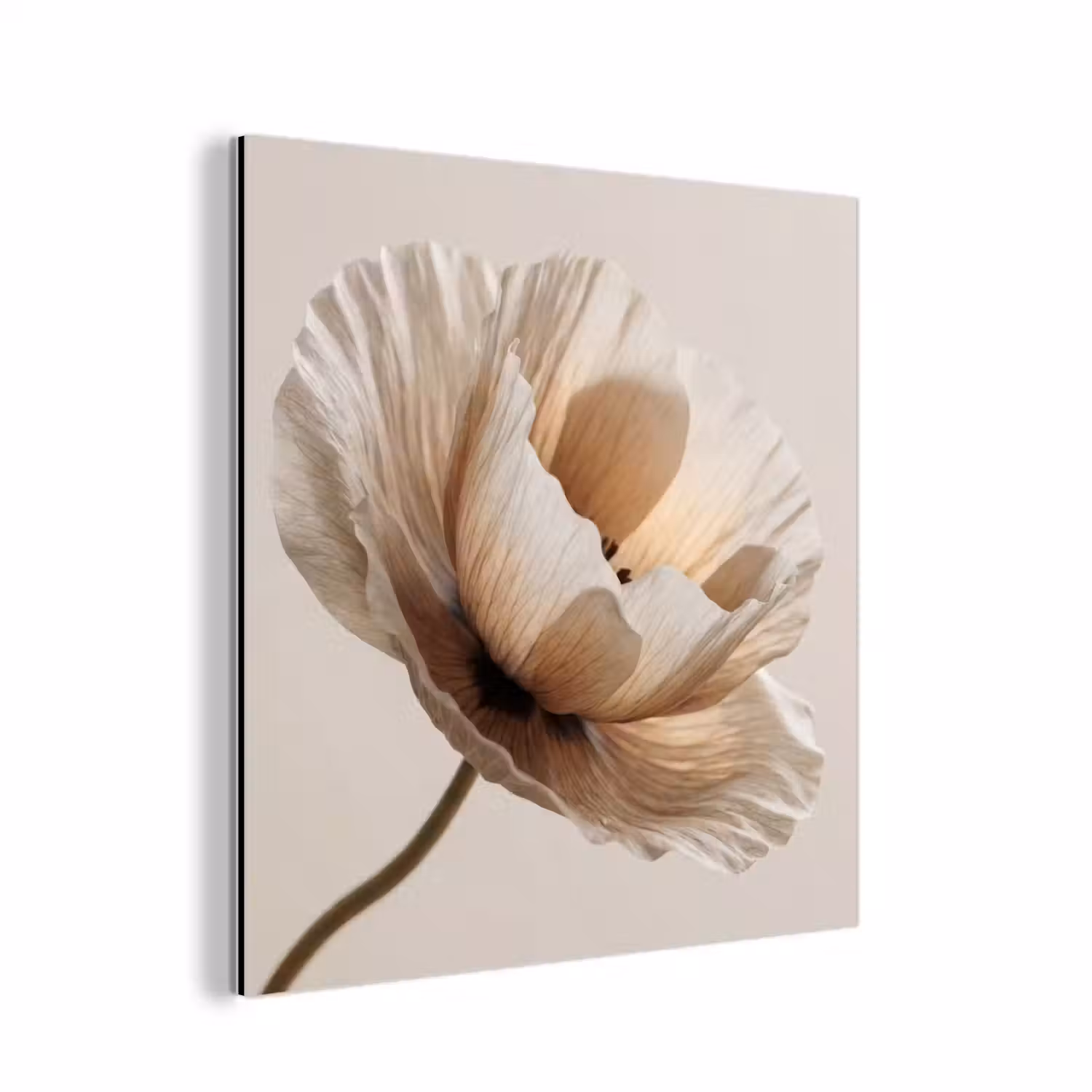 Bloem - Beige - Crème aluminium wit klein -3d