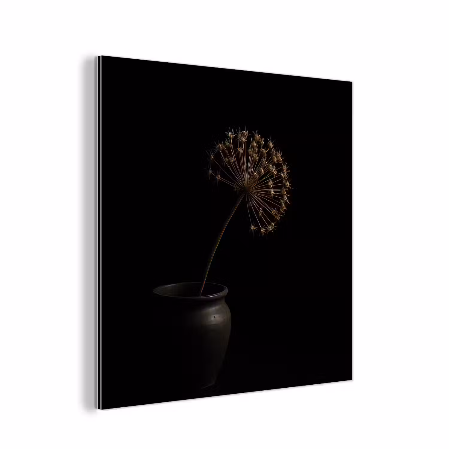 Bol - Gedroogd - Vaas - Zwart aluminium wit klein -3d