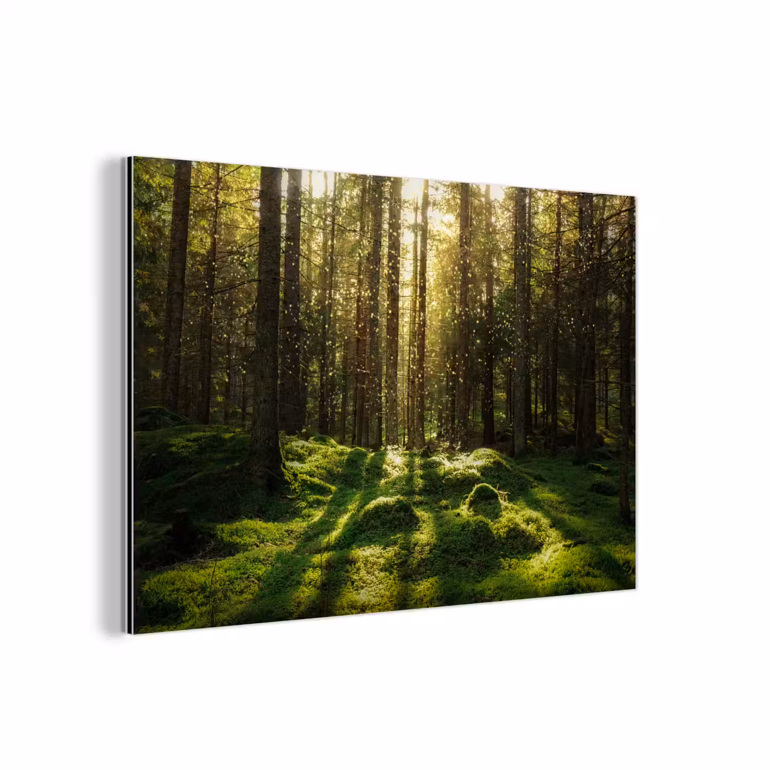 Bomen - Bos - Mos - Planten - Zon - Natuur aluminium wit klein -3d