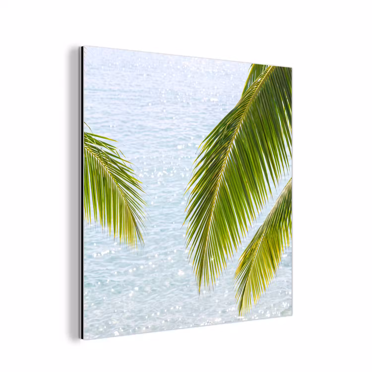 Boom - Bladeren - Water - Tropisch - Groen aluminium wit klein -3d