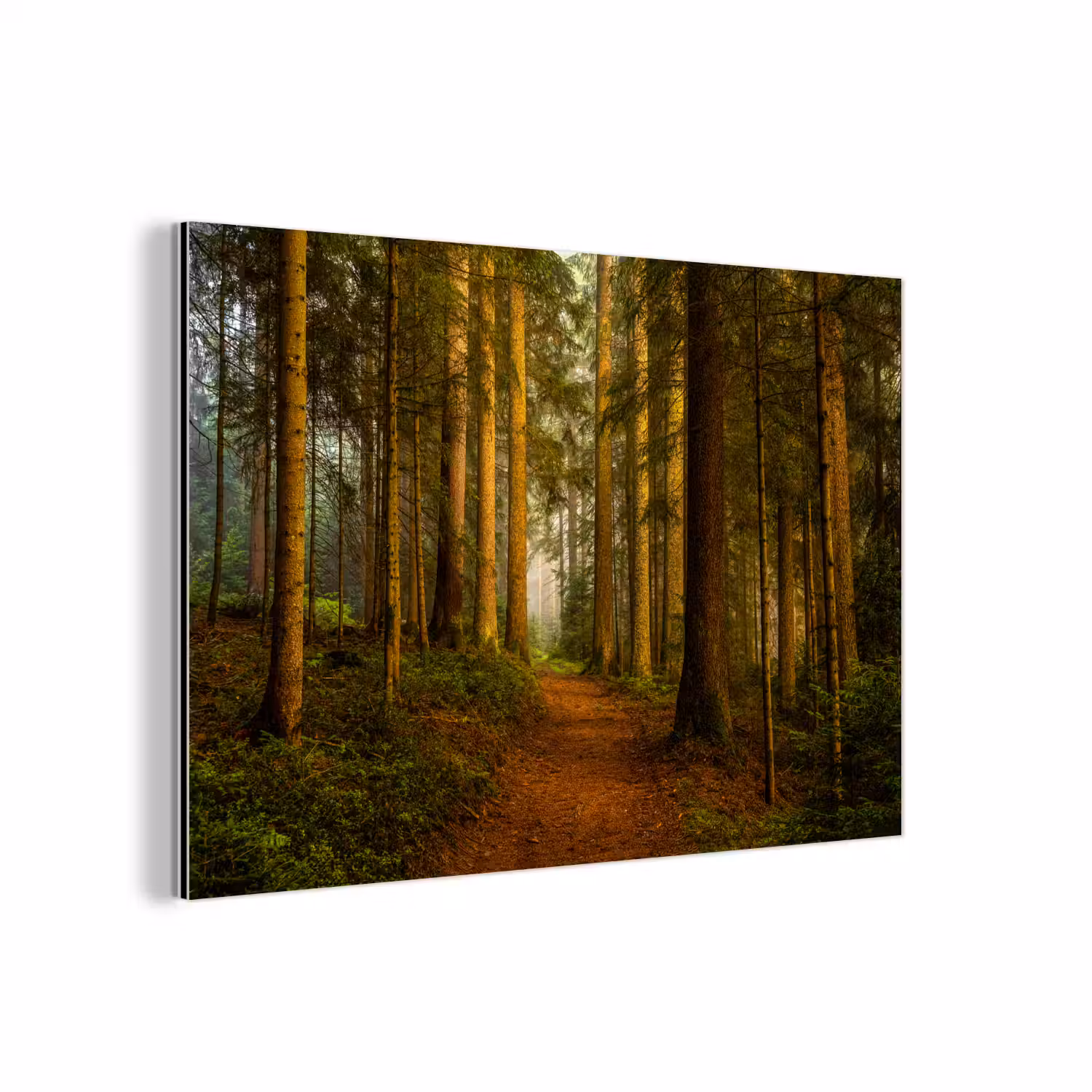 Bos - Natuur - Bomen - Landschap - Bladeren aluminium wit klein -3d