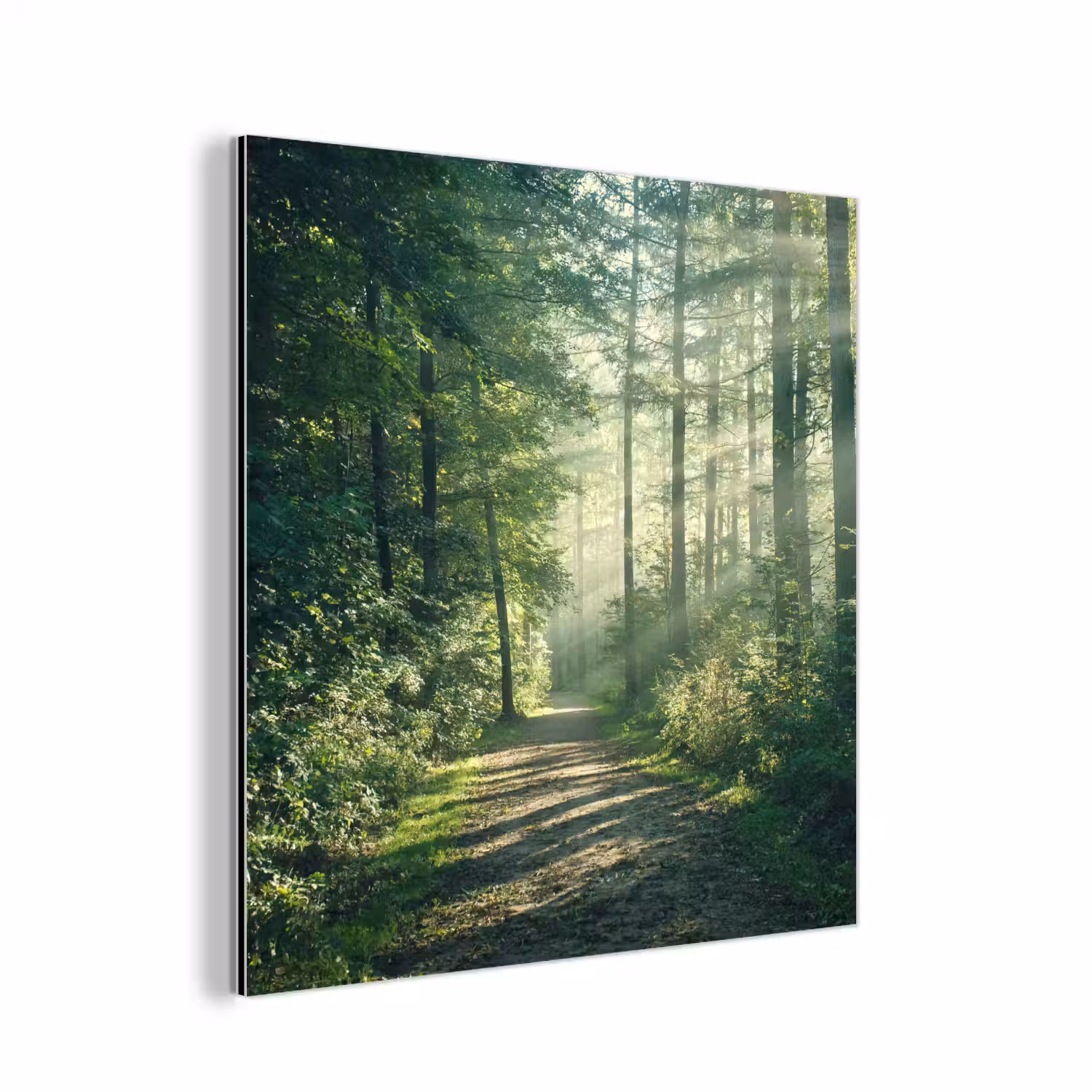 Bos - Pad - Zon - Bomen - Groen - Natuur aluminium wit klein -3d
