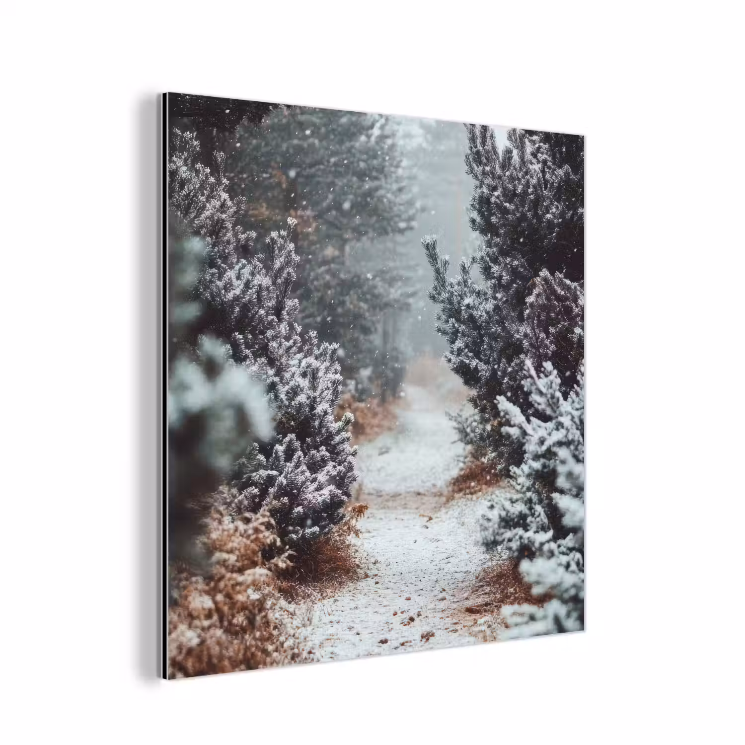 Bos - Winter - Bomen - Natuur - Pad - Sneeuw aluminium wit klein -3d