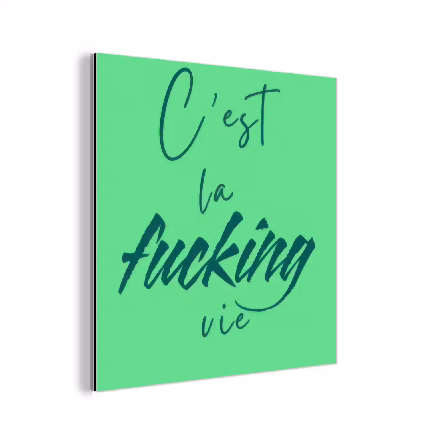c'est la fucking vie - Groen - Penseelstijl aluminium wit klein -3d