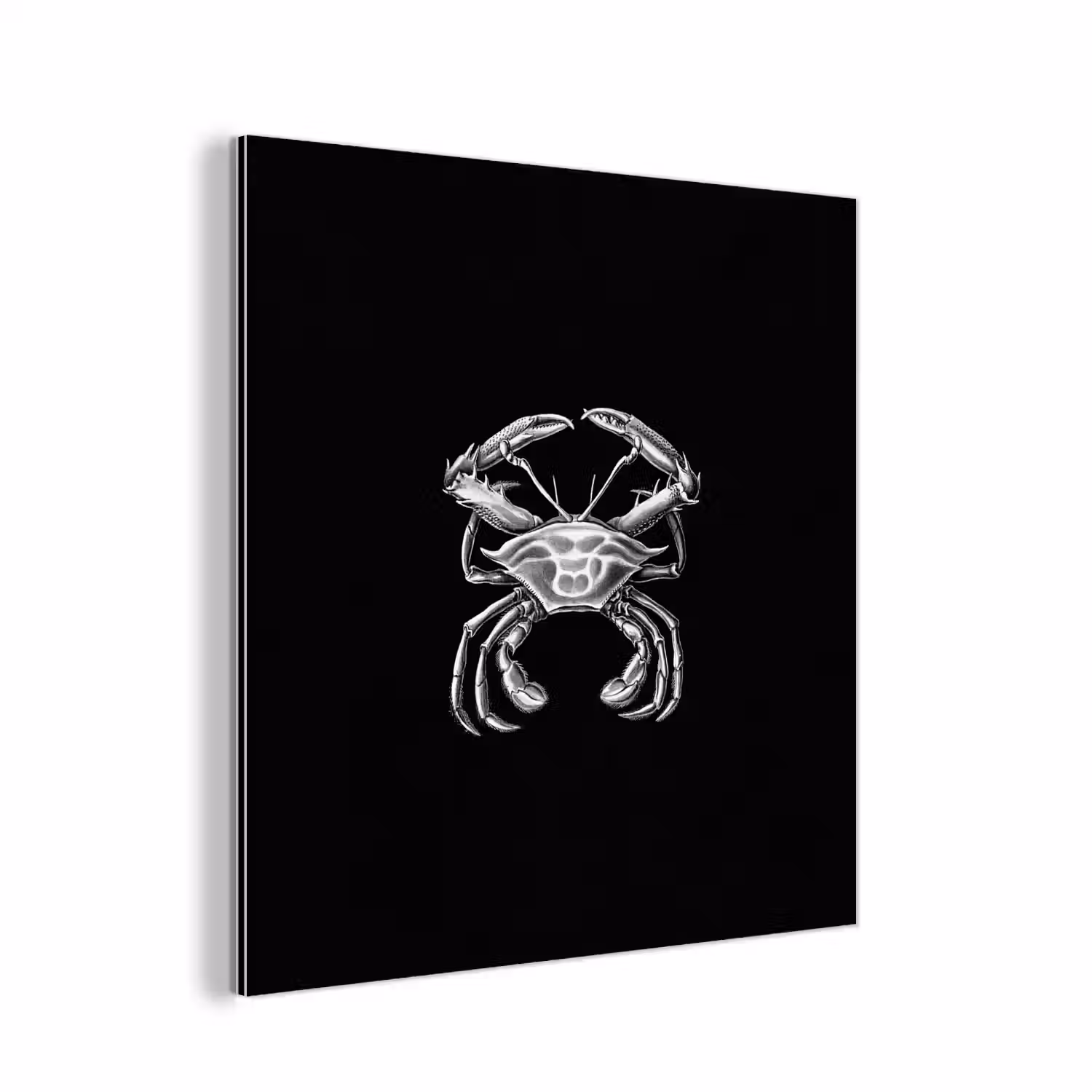 Ernst Haeckel - Tuinposter zwart wit - Tuin - Oude meesters - Vintage aluminium wit klein -3d