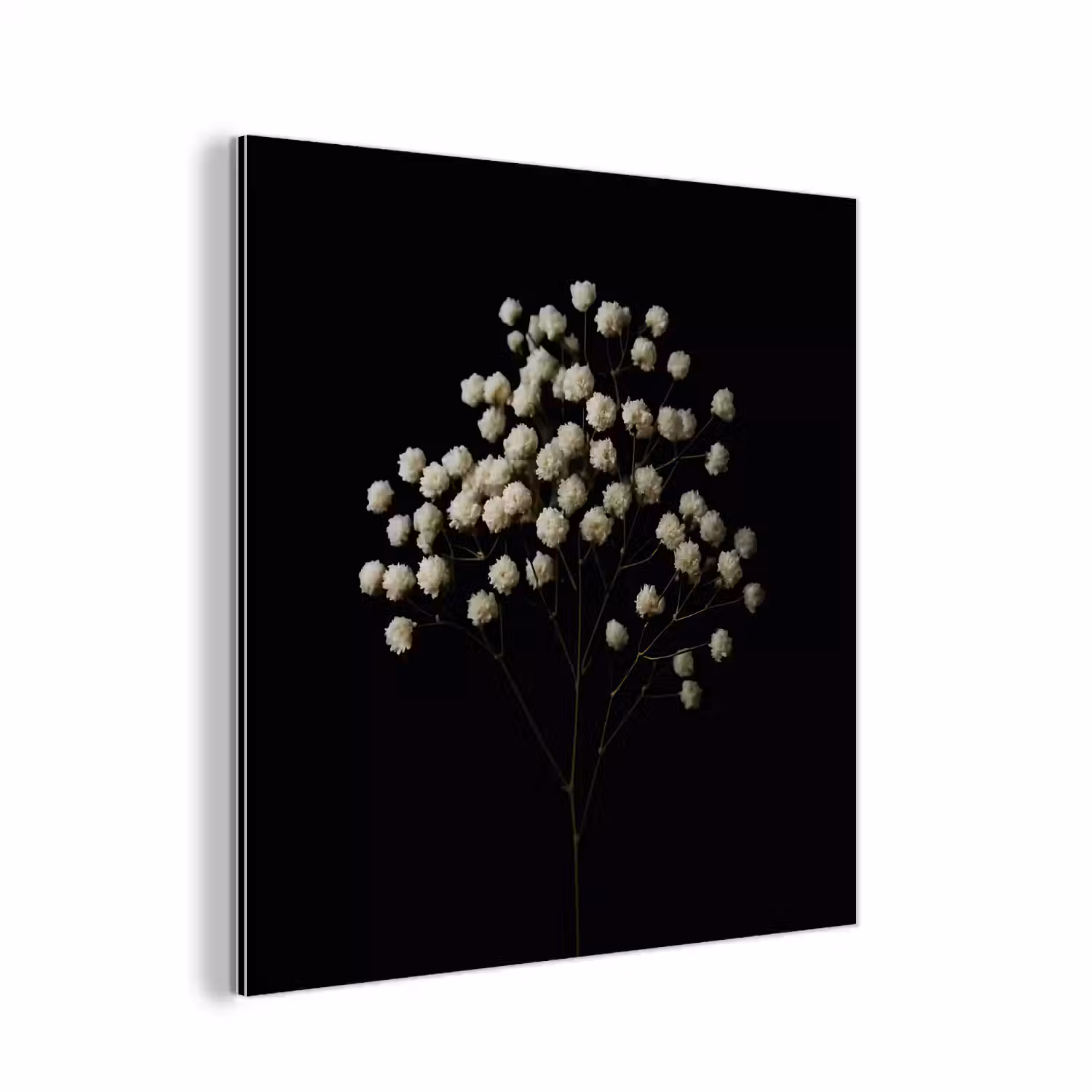 Gipskruid - Bloemetjes - Wit - Minimalistisch aluminium wit klein -3d