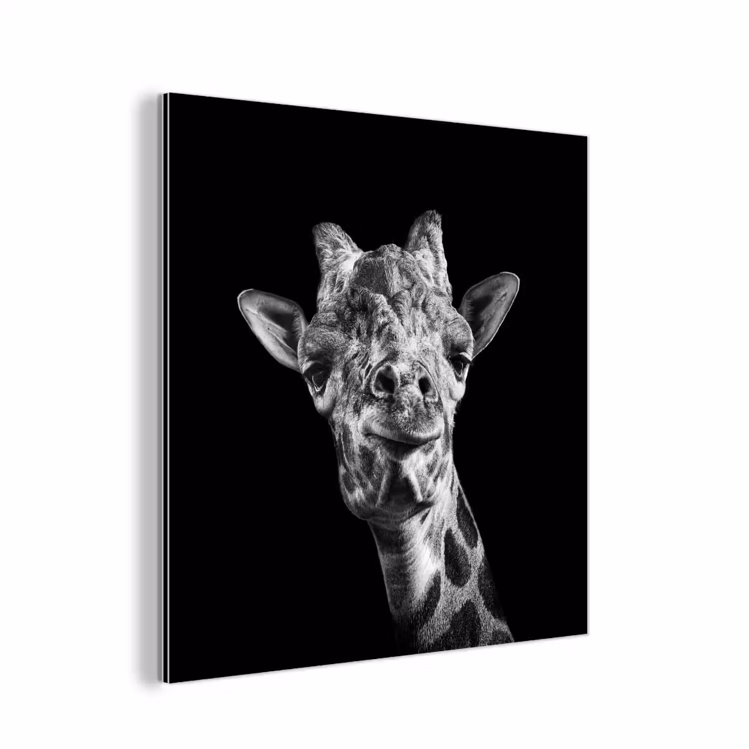 Giraffe - Dier - Zwart - Wit aluminium wit klein -3d