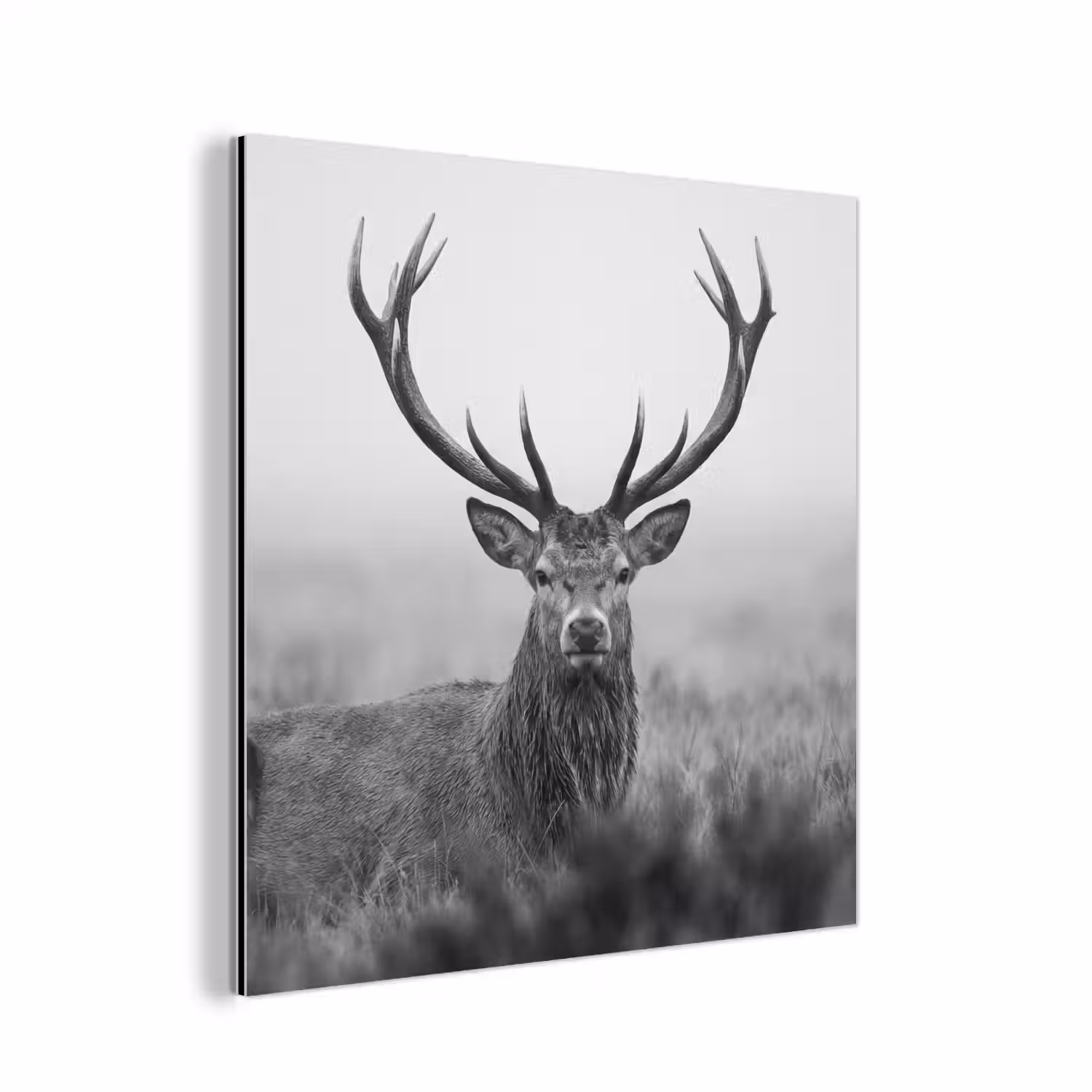 Hert - Mistig - Zwart - Wit aluminium wit klein -3d