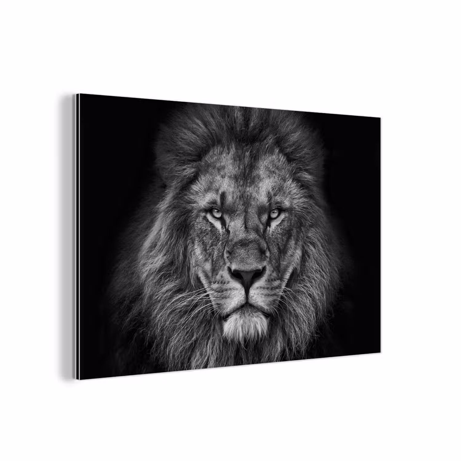 Leeuw - Dieren - Zwart - Wit aluminium wit klein -3d