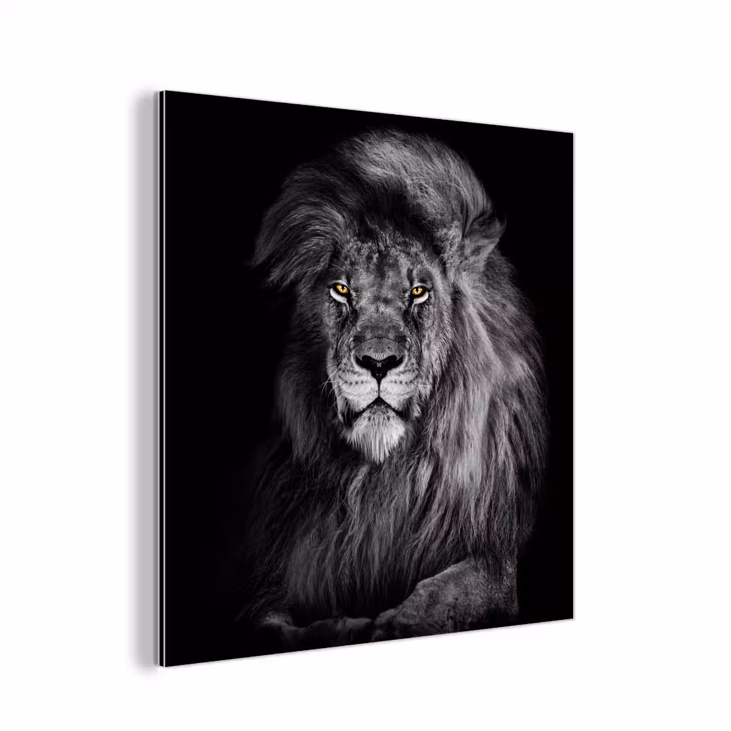 Leeuw - Ogen - Oranje - Zwart wit - Dieren - Portret aluminium wit klein -3d