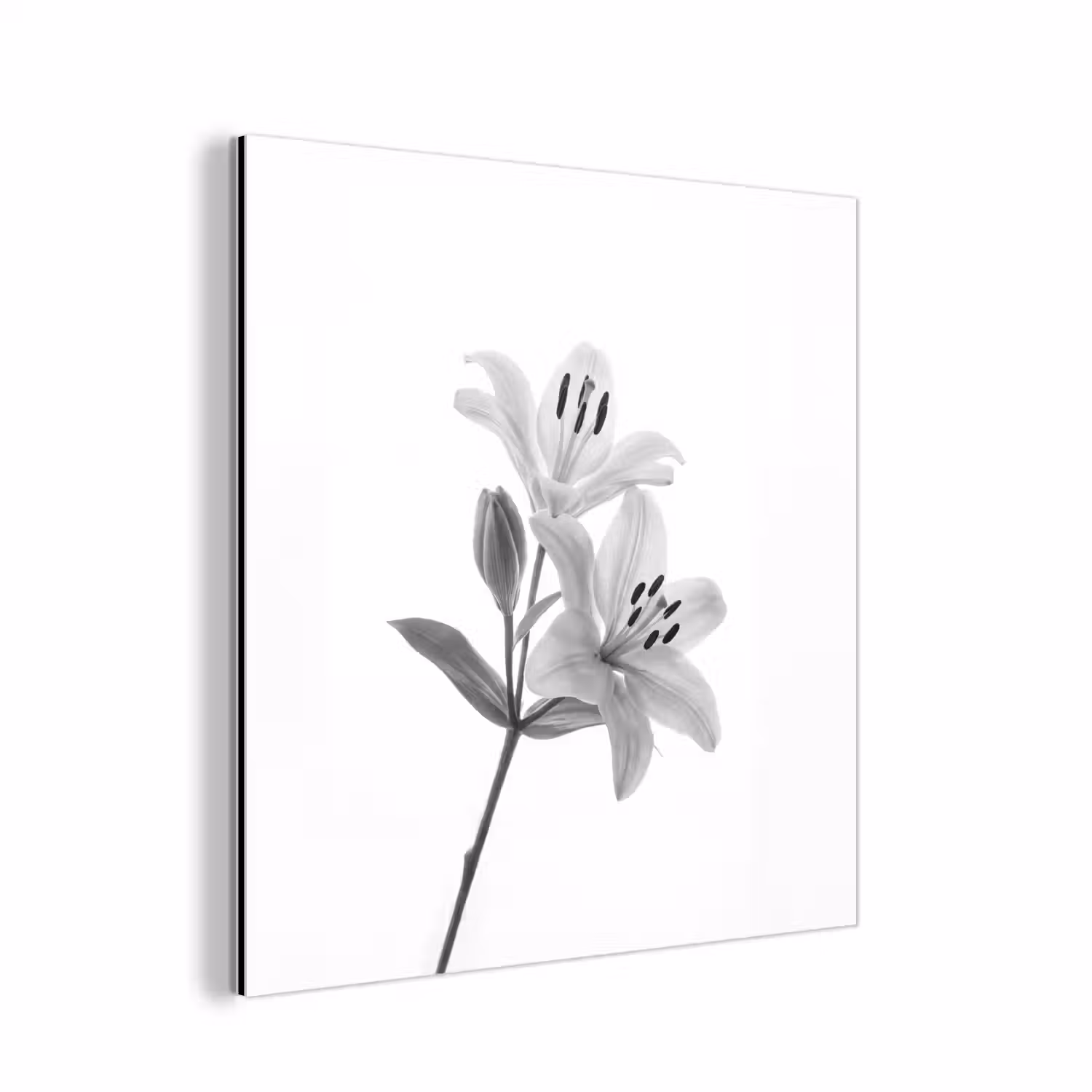 Lelies - Elegant - Zwart - Wit aluminium wit klein -3d