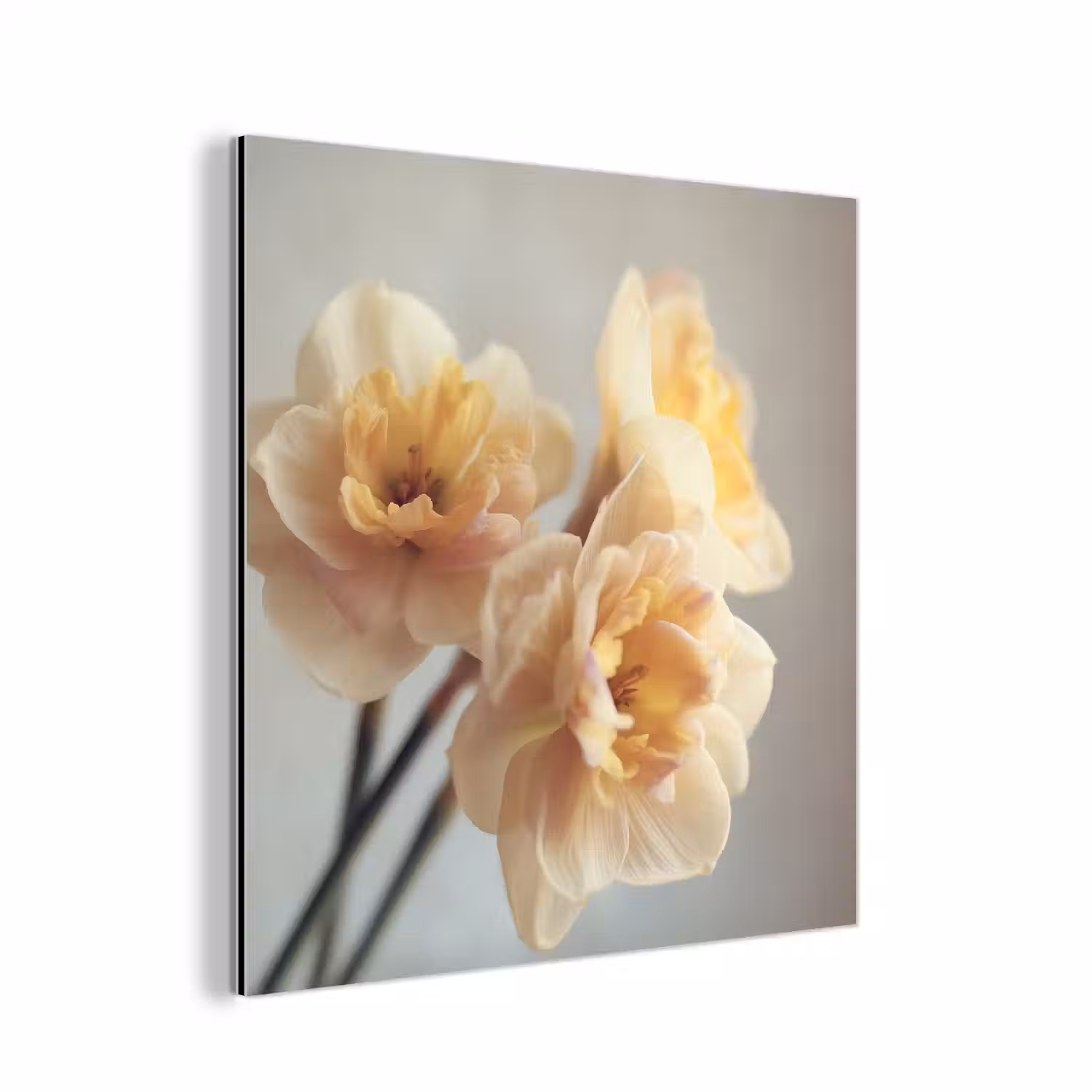 Narcissen - Geel - Bloemblaadjes aluminium wit klein -3d