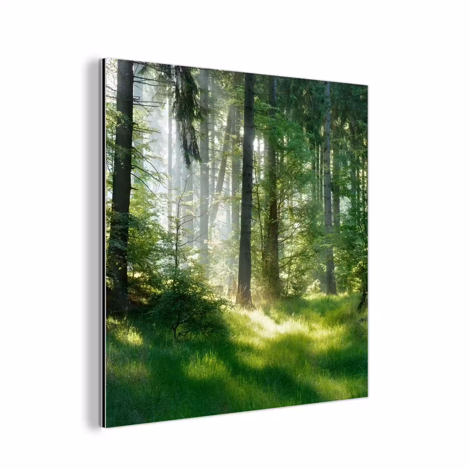 Natuur - Bomen - Bos - Groen - Zon - Gras - Planten aluminium wit klein -3d