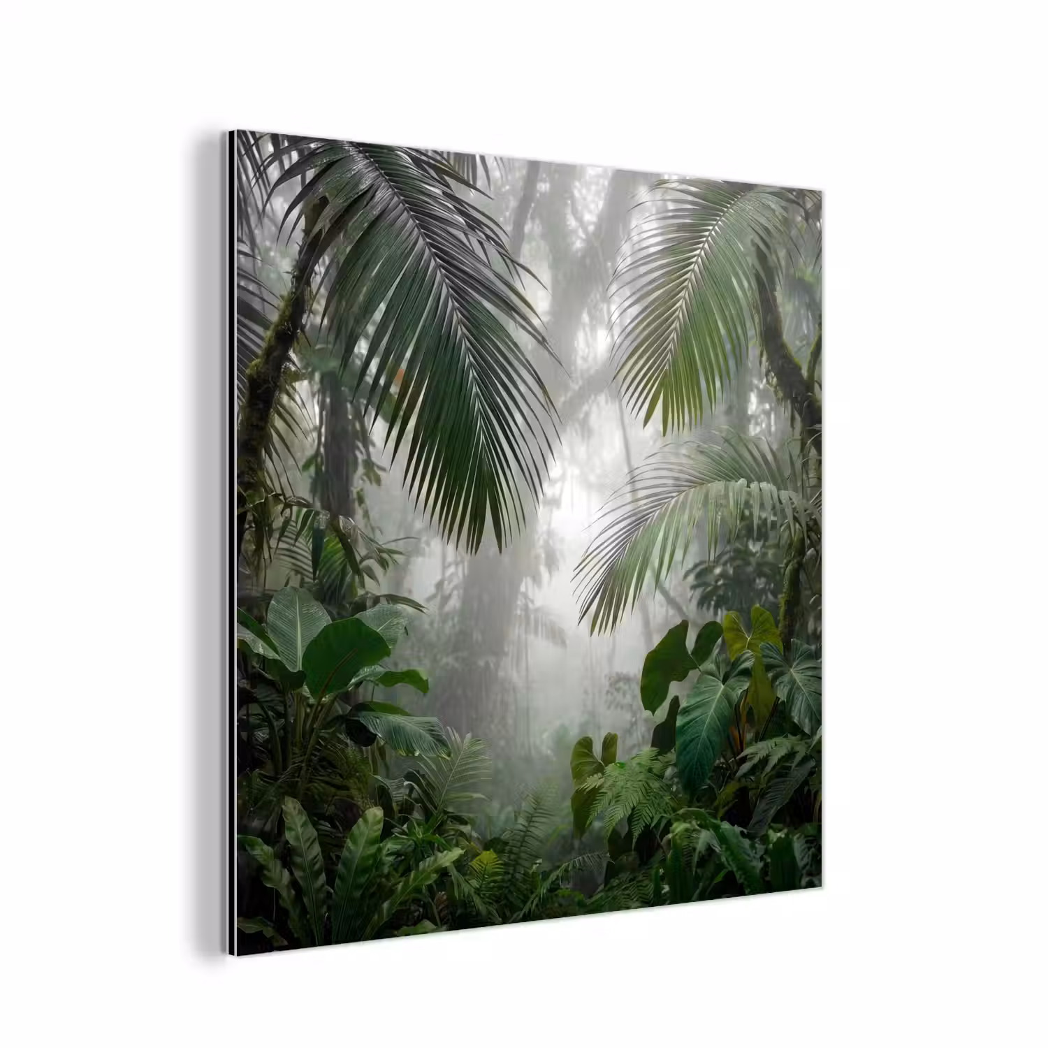 Natuur - Jungle - Mist - Tropisch - Groen aluminium wit klein -3d