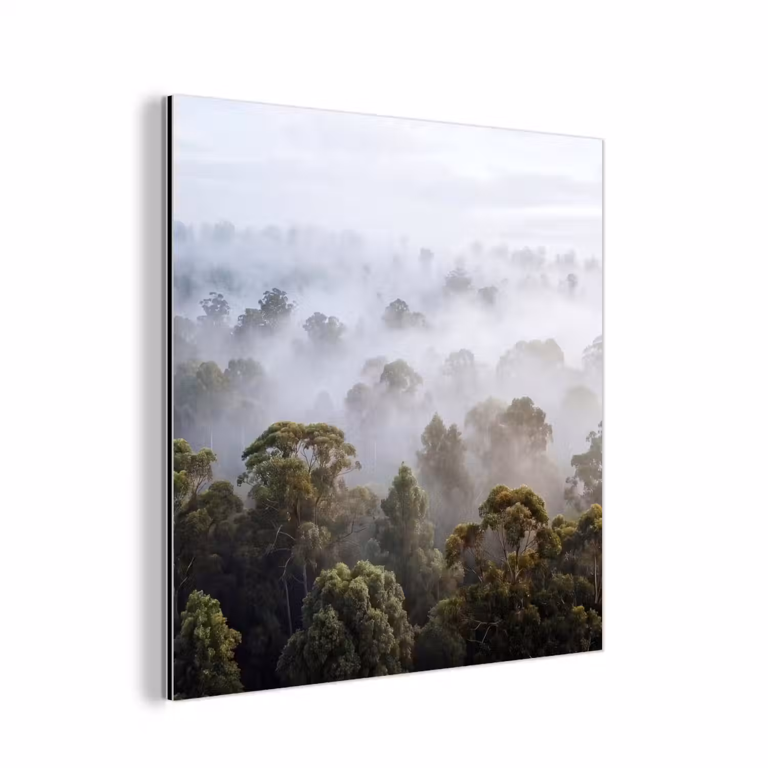 Natuur - Mist - Bos - Ochtend - Goud aluminium wit klein -3d