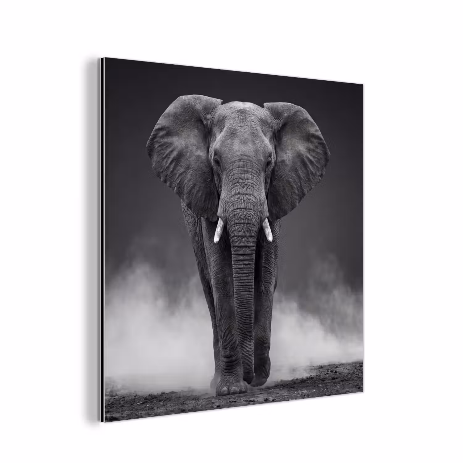 Olifant - Zwart - Wit - Rook aluminium wit klein -3d