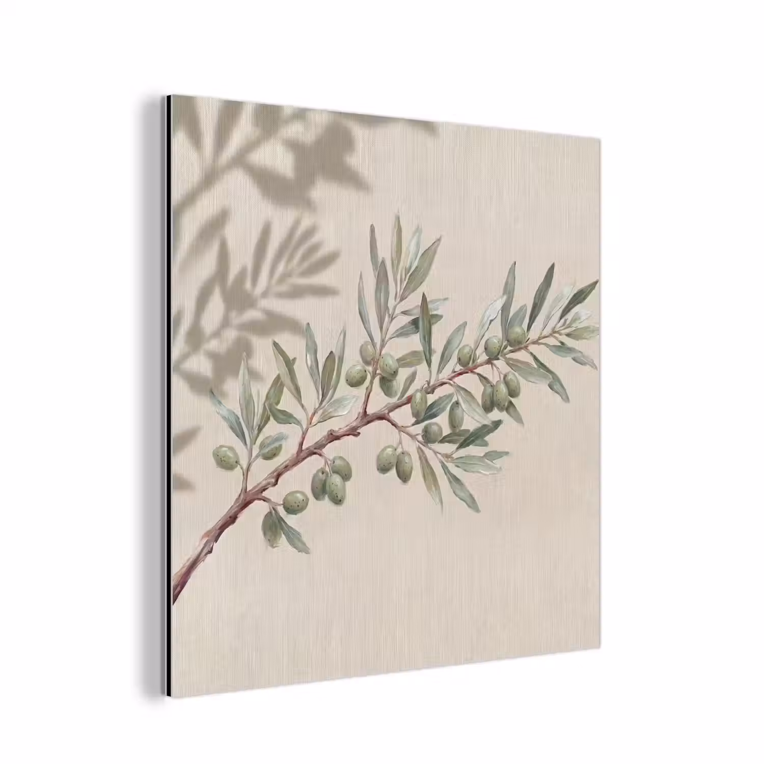 Olijftak - Bladeren - Natuur - Groen - Beige aluminium wit klein -3d
