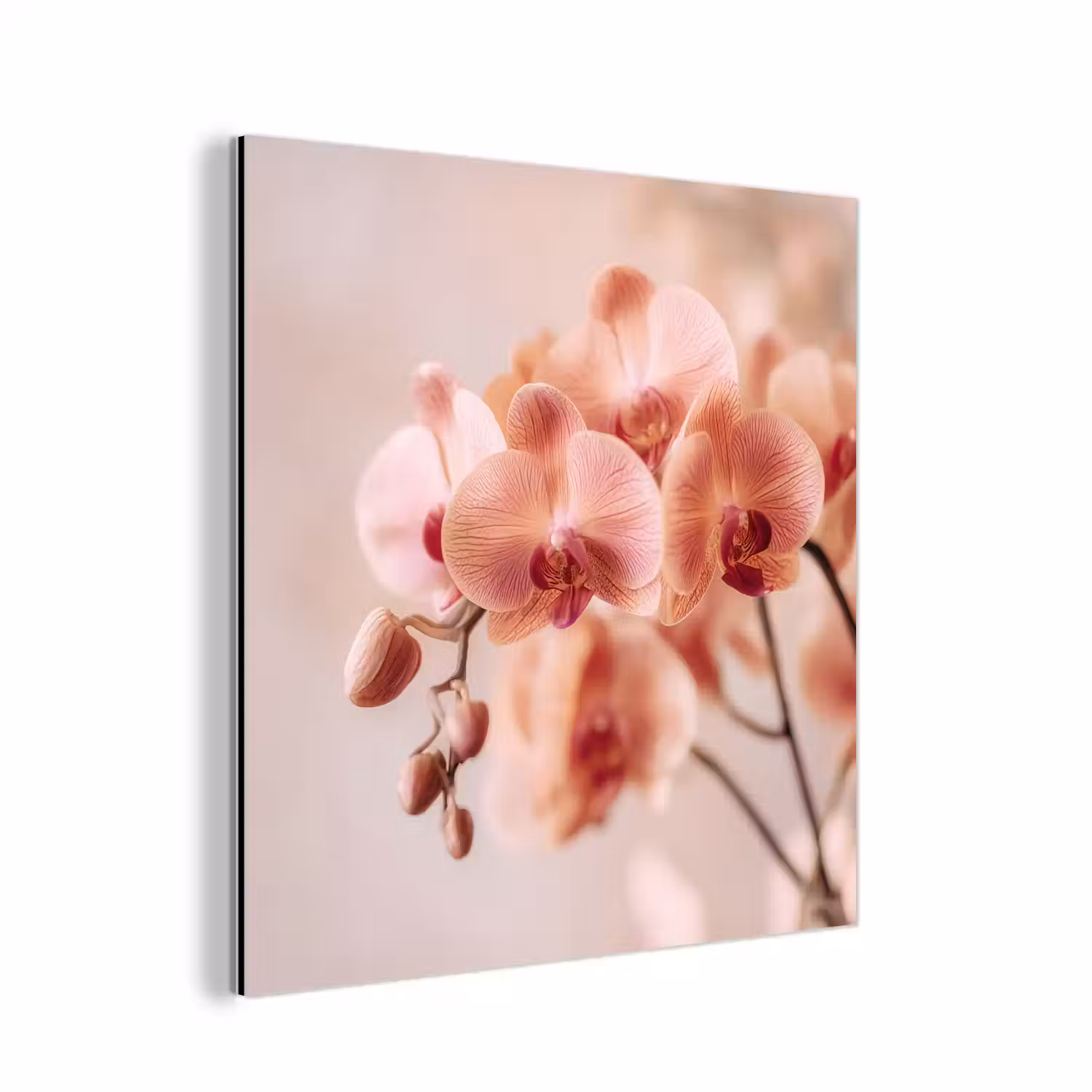 Orchidee - Bloemen - Roze - Bloemblaadjes aluminium wit klein -3d