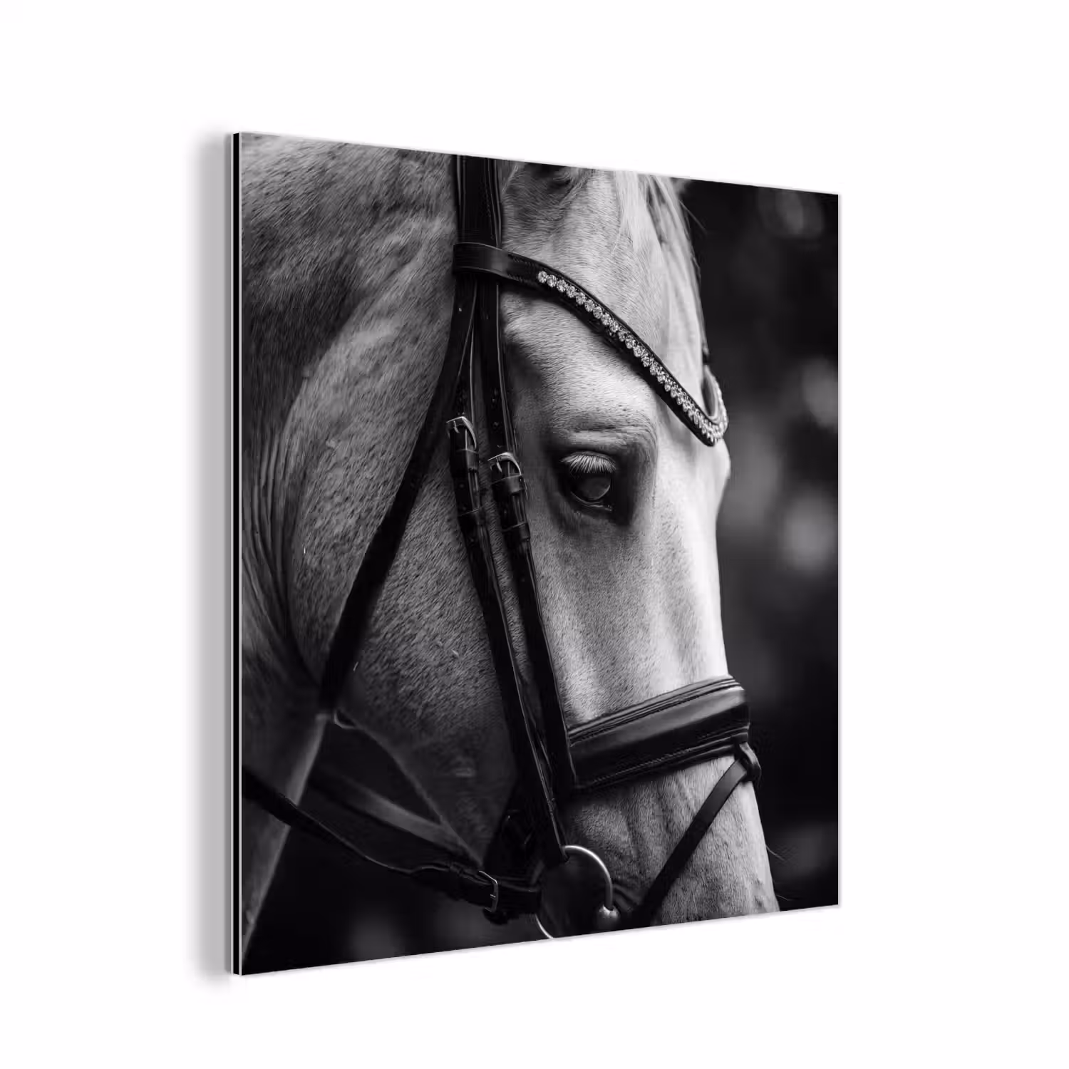 Paard - Schimmel - Portret aluminium wit klein -3d