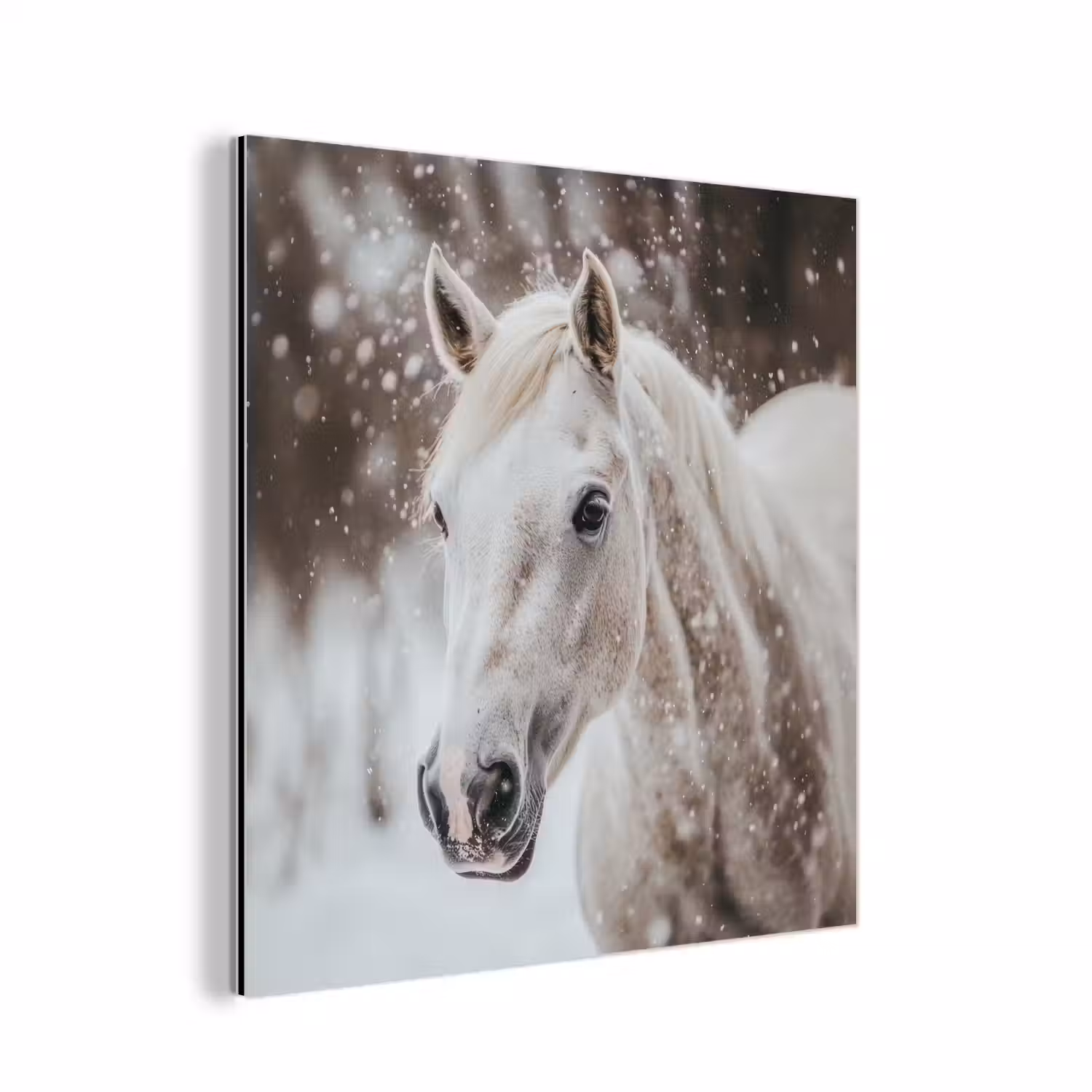 Paard - Wit - Winter - Natuur - Sneeuw - Dieren aluminium wit klein -3d