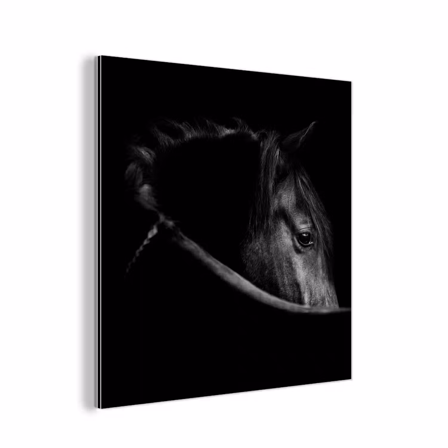 Paarden - Portret - Zwart - Dieren aluminium wit klein -3d