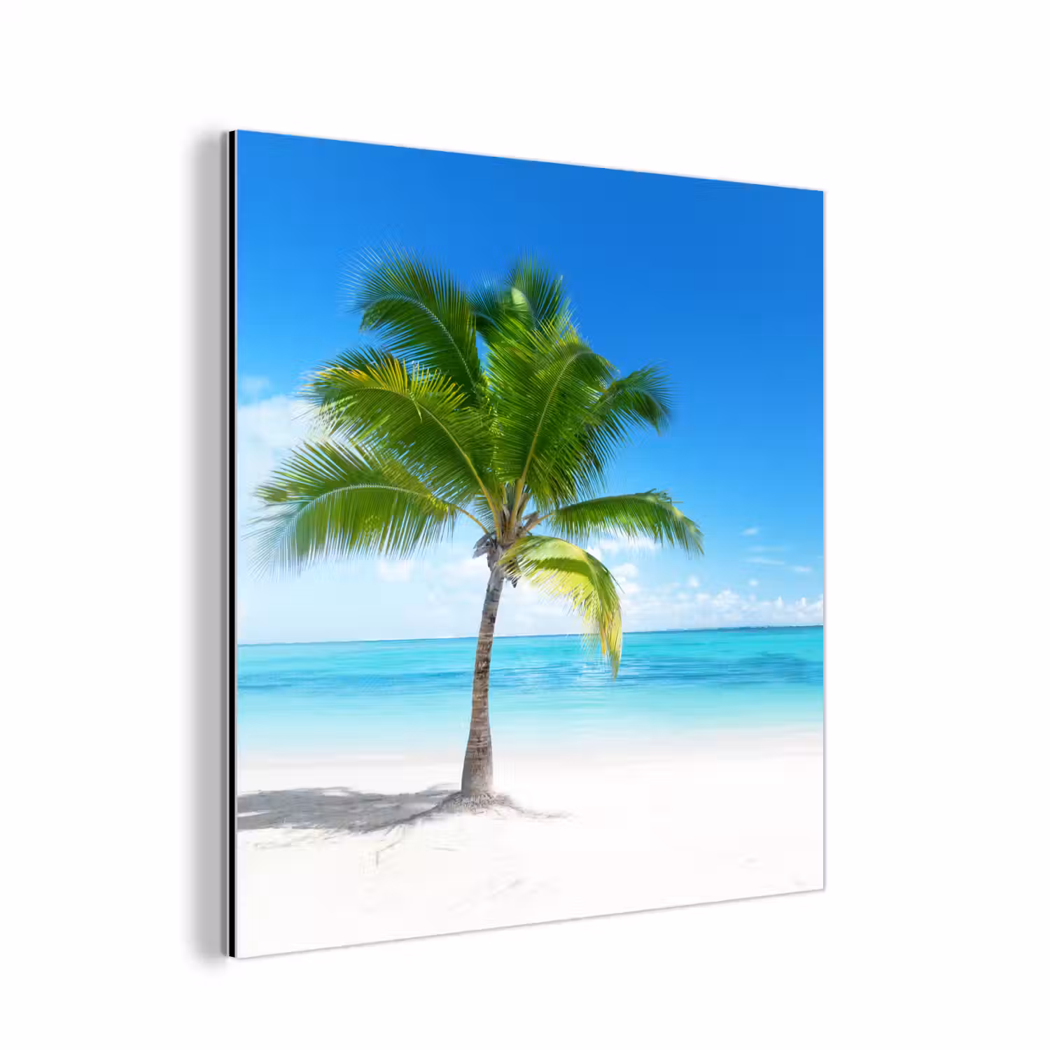 Palmboom - Strand - Zee - Zomer aluminium wit klein -3d