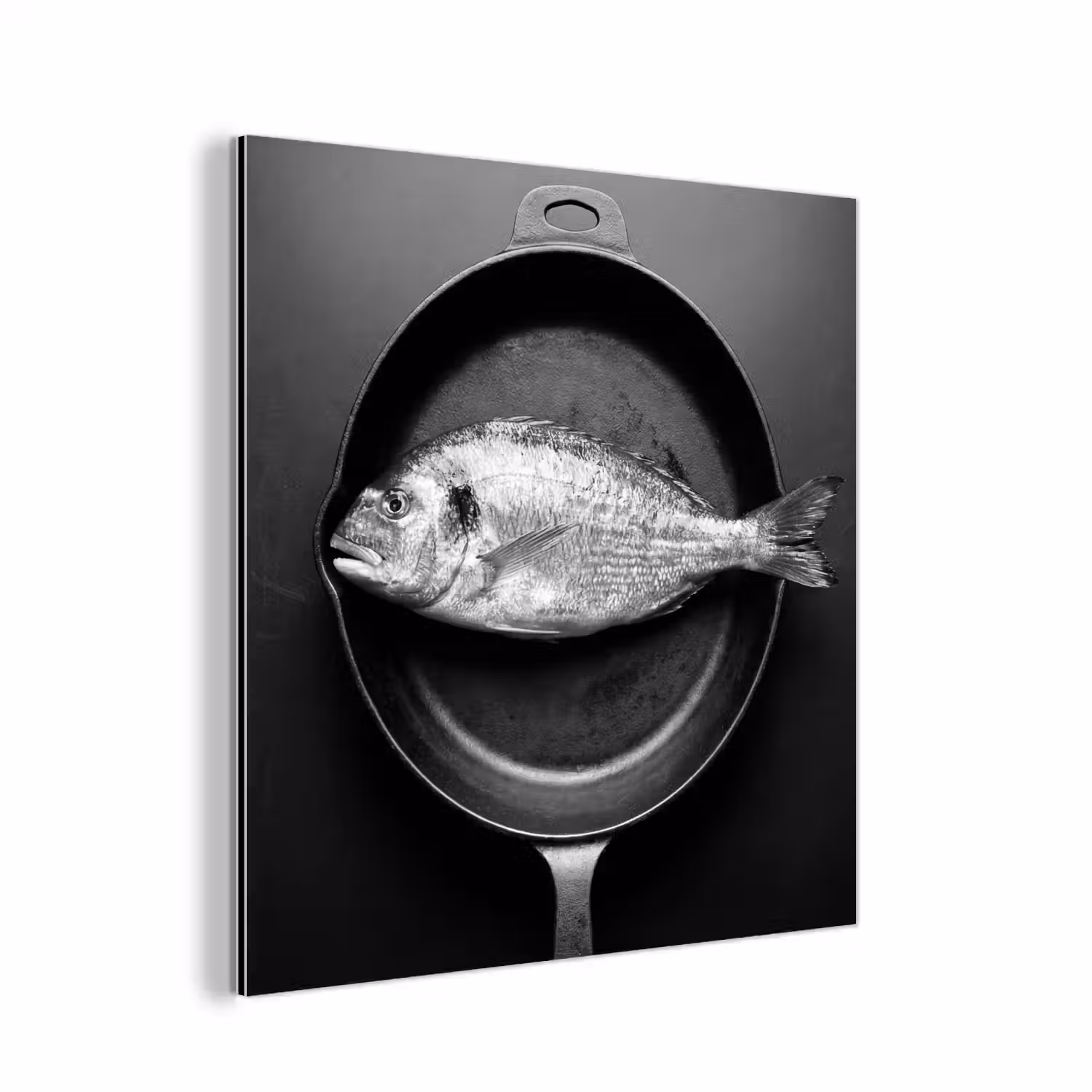Pan - Vis - Zwart - Wit aluminium wit klein -3d