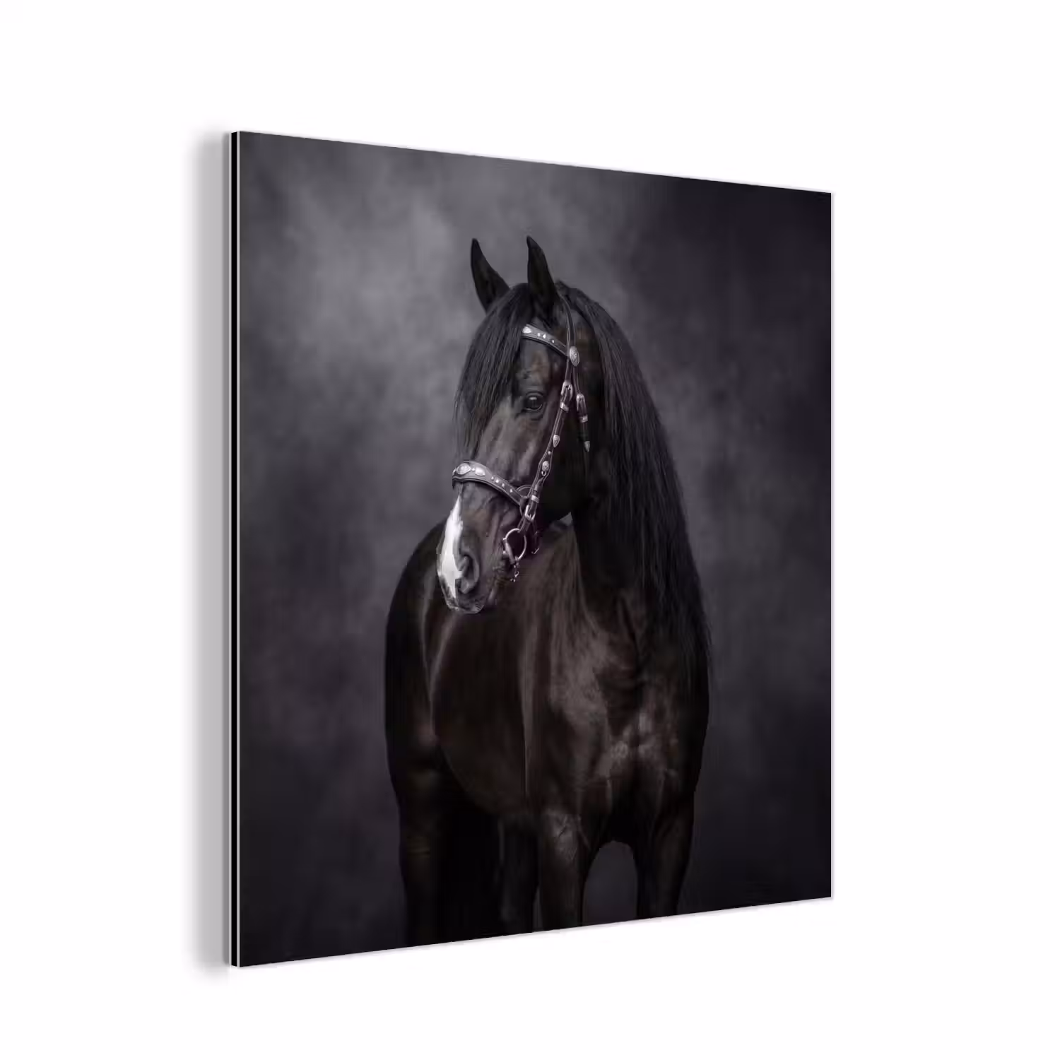 Portret - Paard - Zwart aluminium wit klein -3d