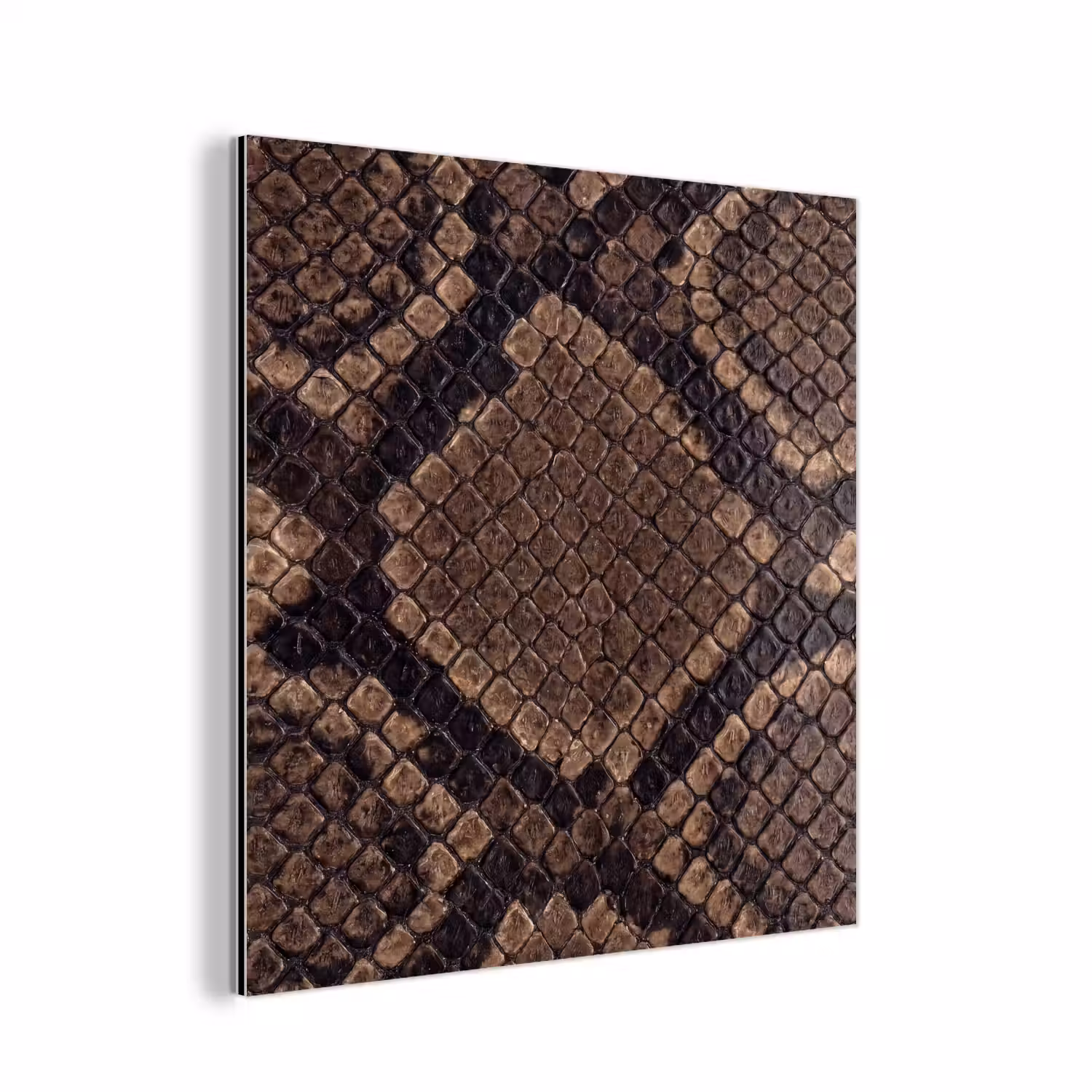 Python - Schubben - Brons aluminium wit klein -3d