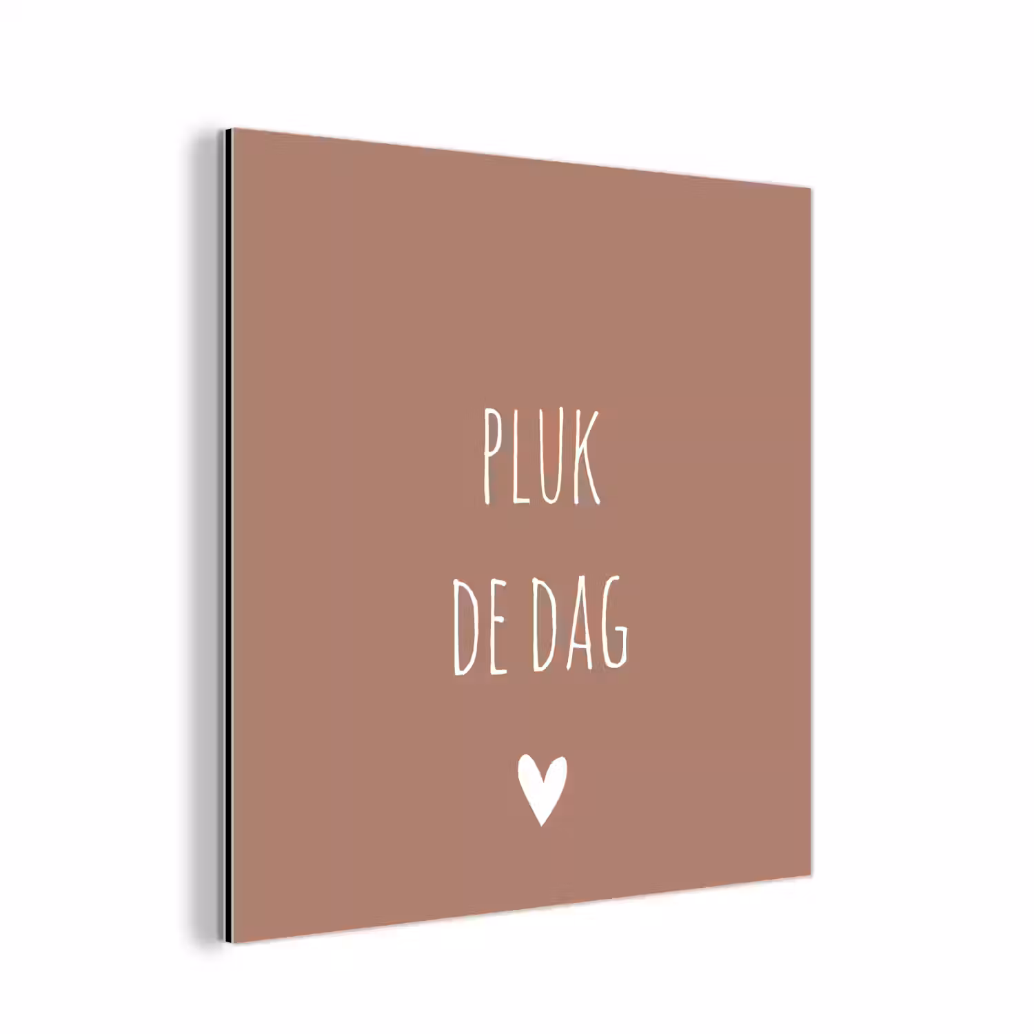 Quotes - Carpe diem - Pluk de dag - Spreuken aluminium wit klein -3d