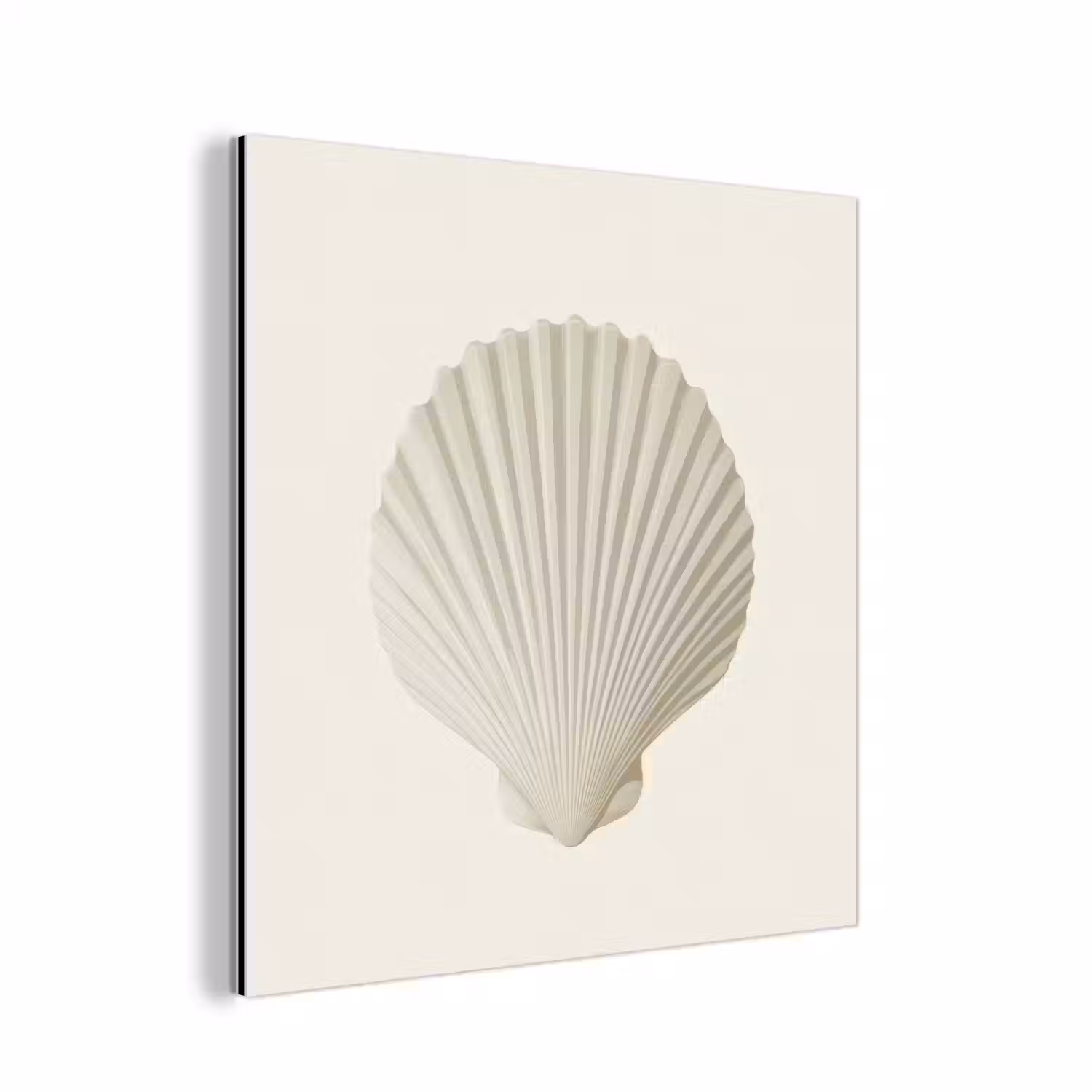 Schelp - Minimalistisch - Wit aluminium wit klein -3d