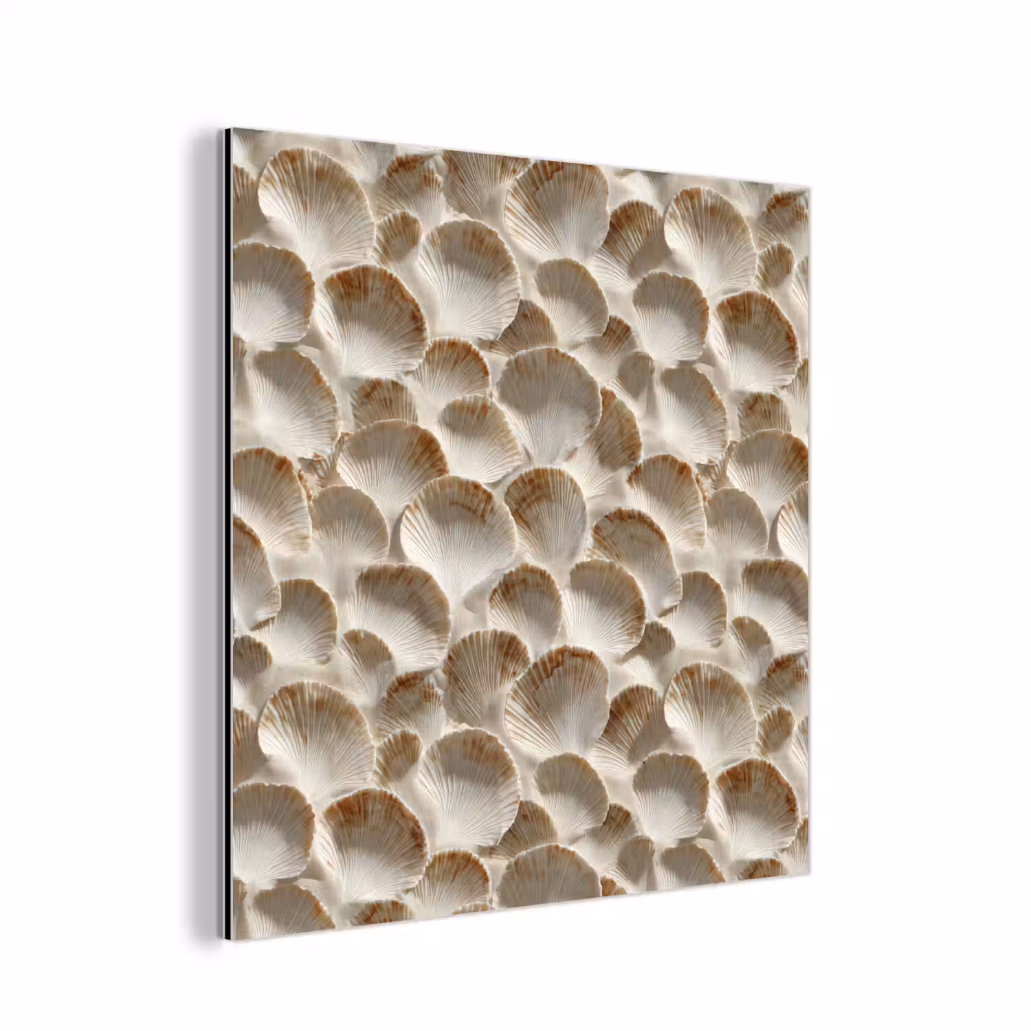 Schelpen - Waaiervorm - Wit aluminium wit klein 46 -3d