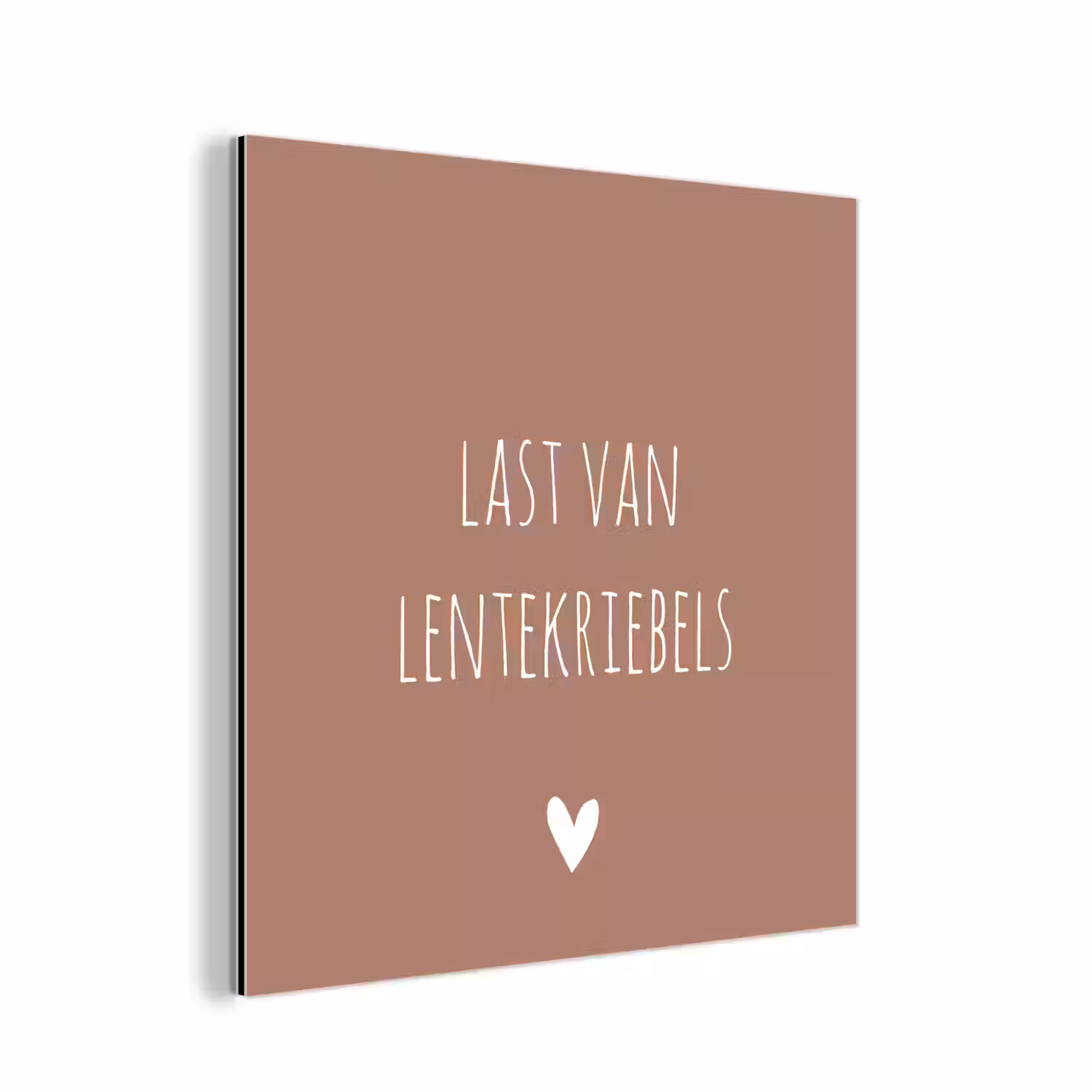 Spreuken - Last van lentekriebels - Quotes aluminium wit klein -3d