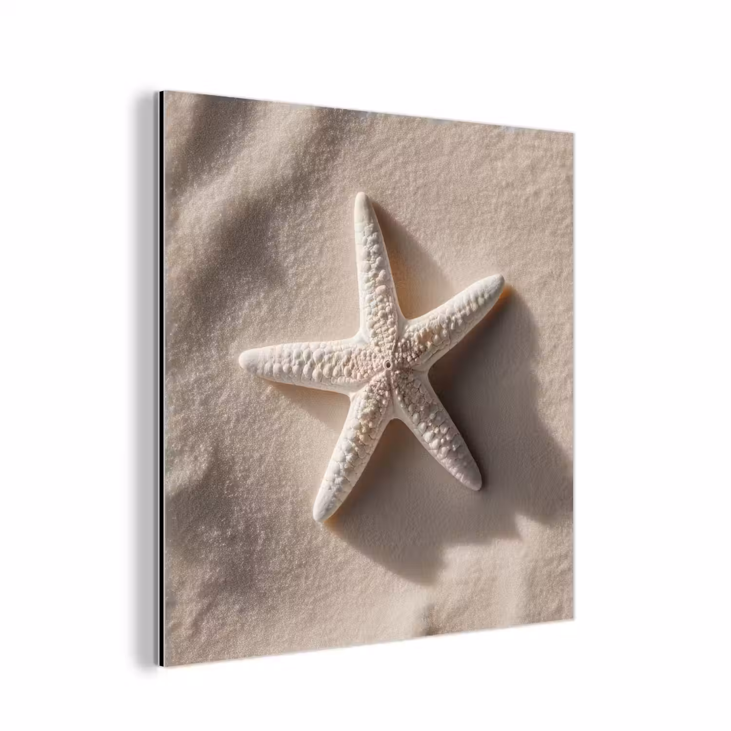 Strand - Zeester - Zand - Beige aluminium wit klein -3d