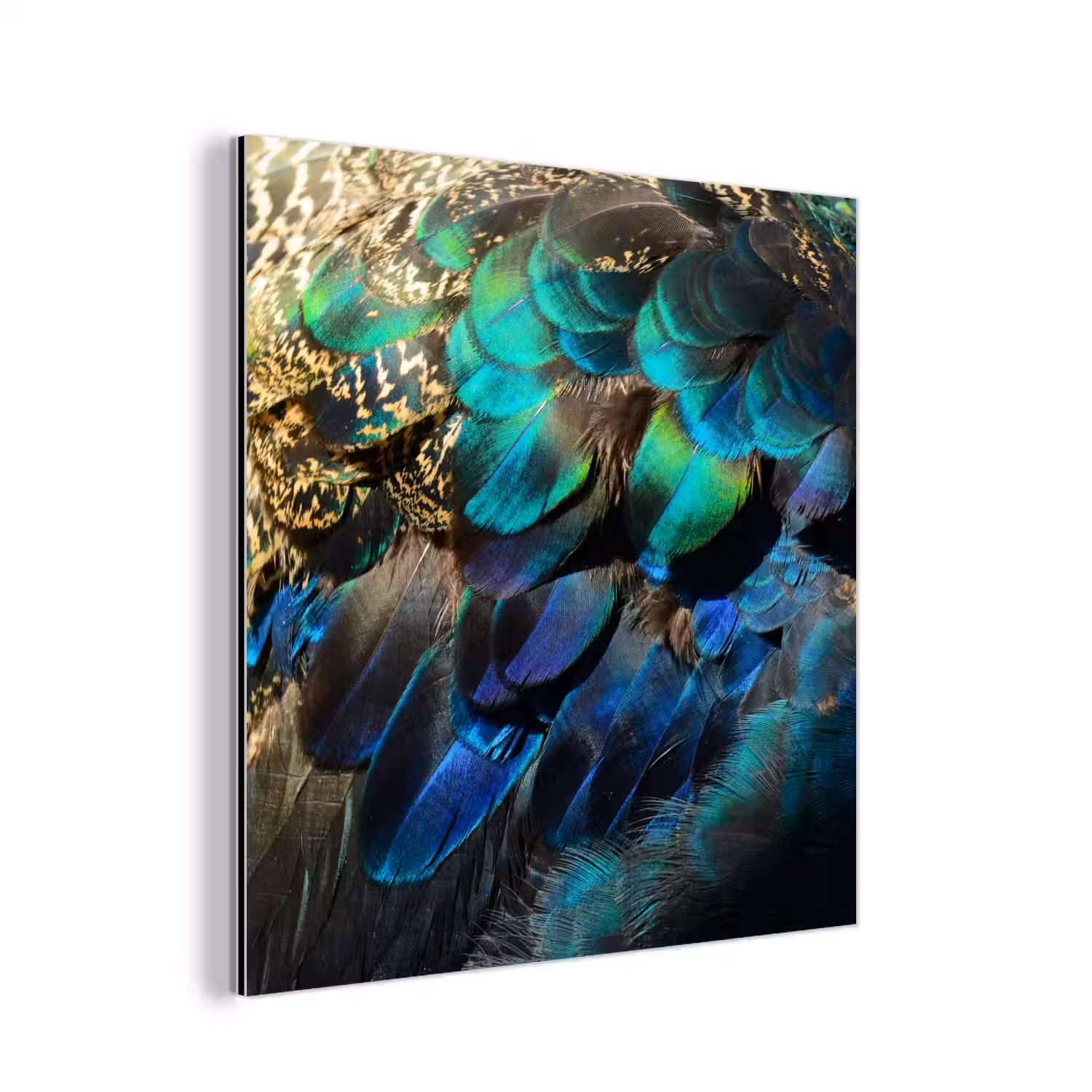 Veren - Pauwveren - Pauw - Blauw - Kunst aluminium wit klein -3d