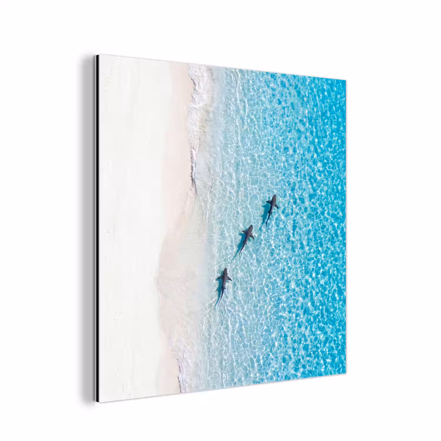 Vis - Oceaan - Strand - Turquoise - Natuur aluminium wit klein -3d
