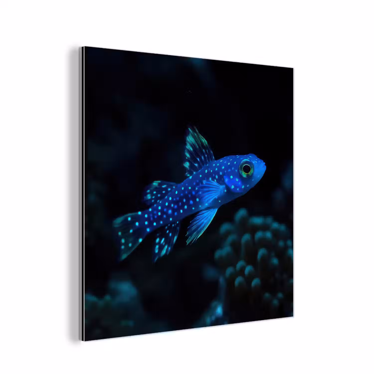 Vis - Stippen - Koraal - Blauw aluminium wit klein -3d