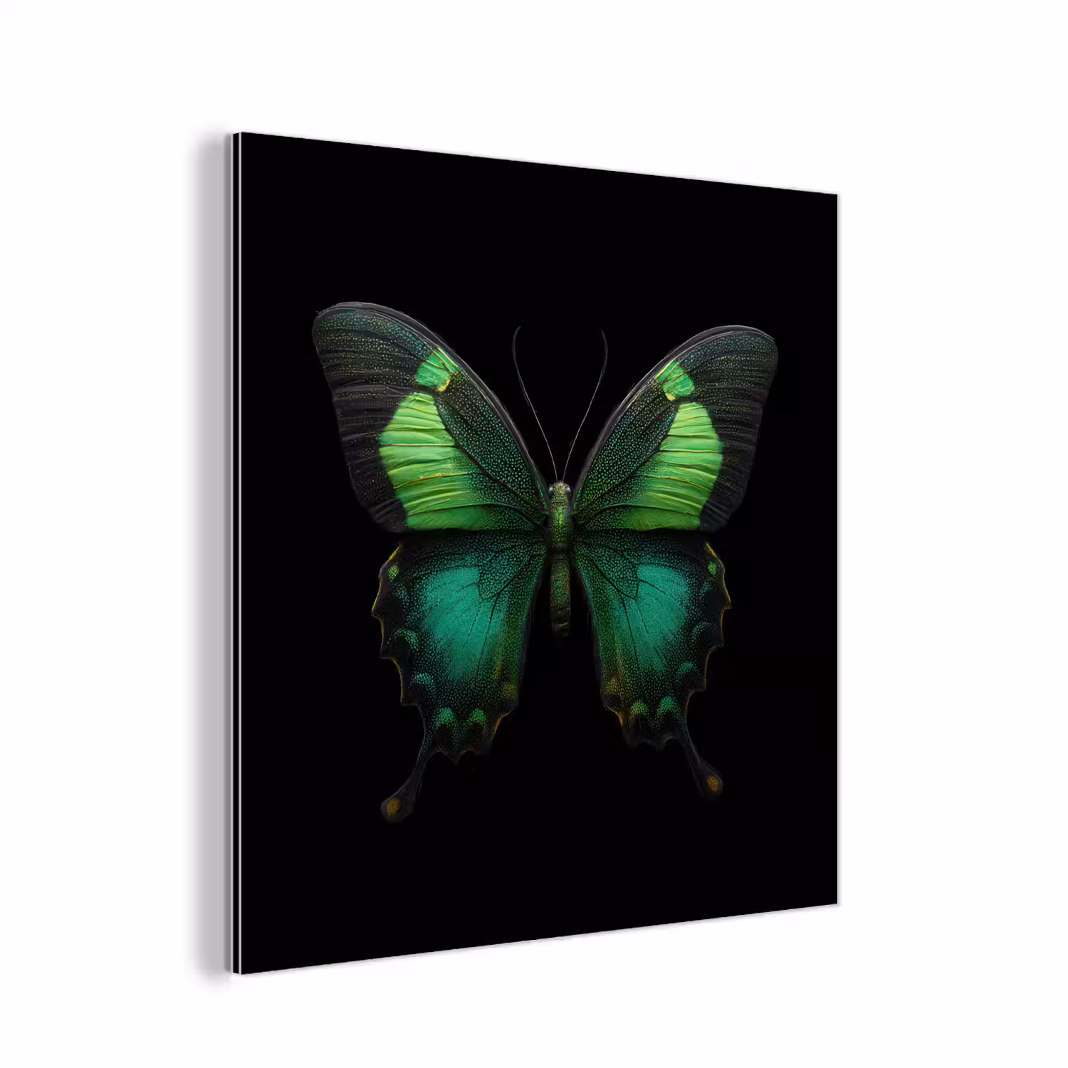 Vlinder - Groen - Opvallend aluminium wit klein -3d