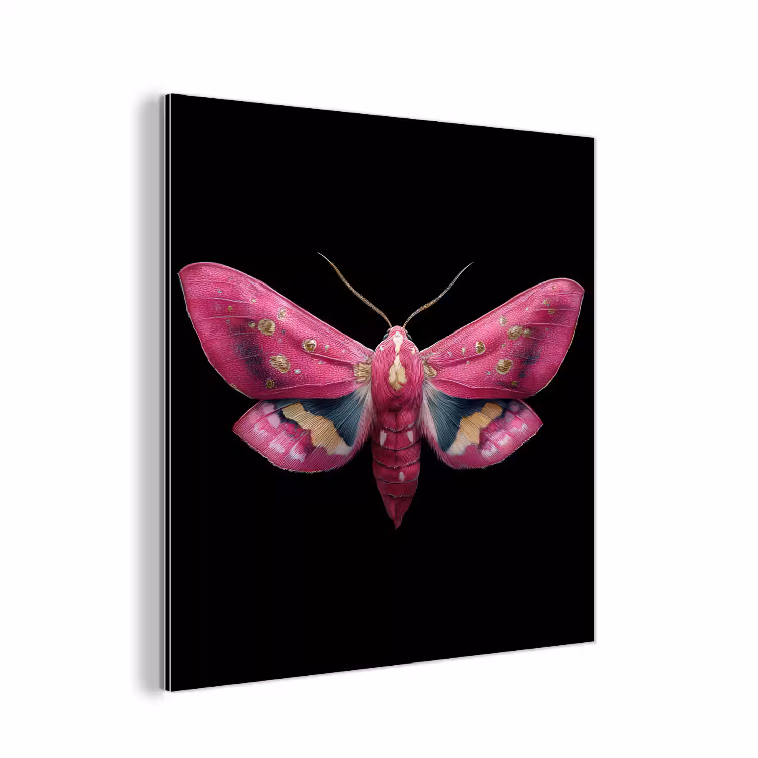 Vlinder - Roze - Nachtvlinder aluminium wit klein -3d