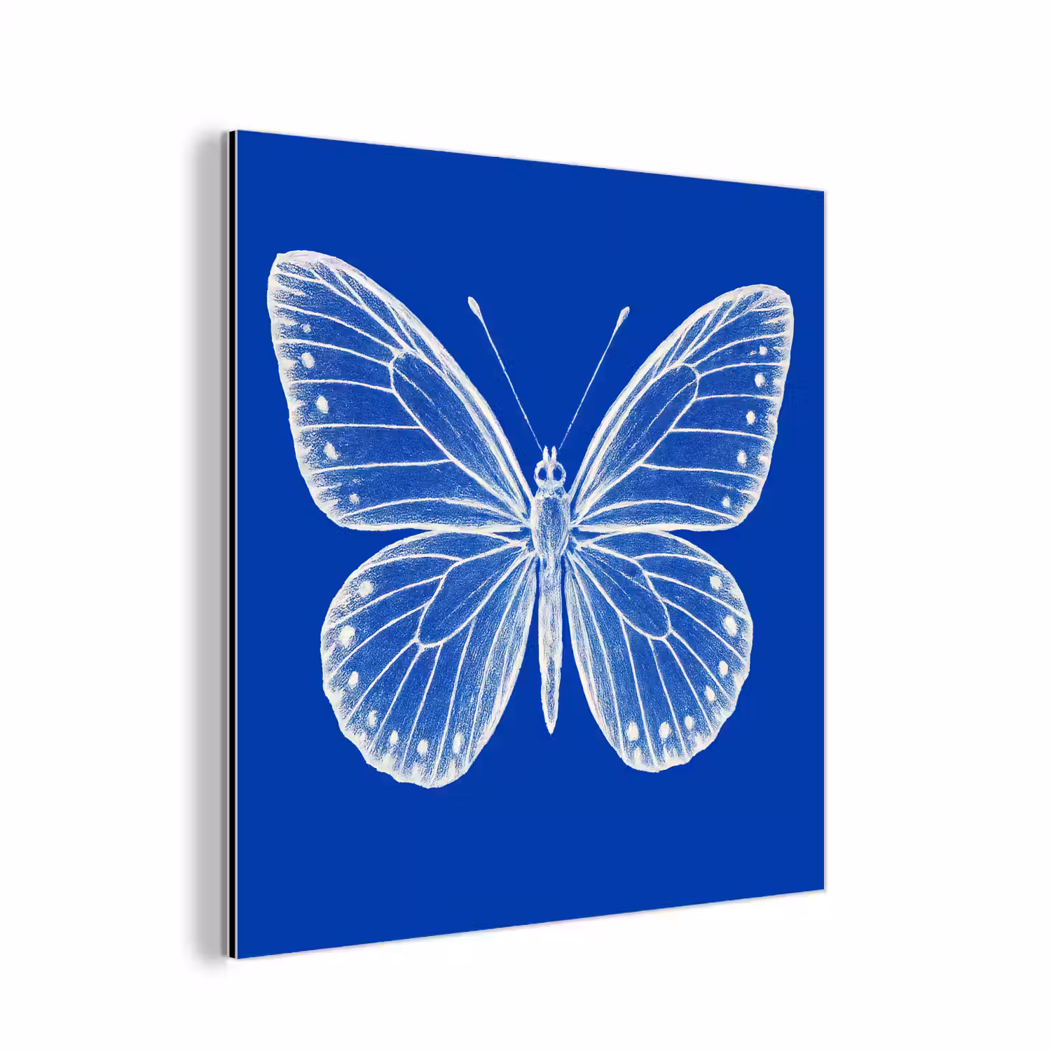 Vlinder - Wit - Getekend - Stippen aluminium wit klein -3d