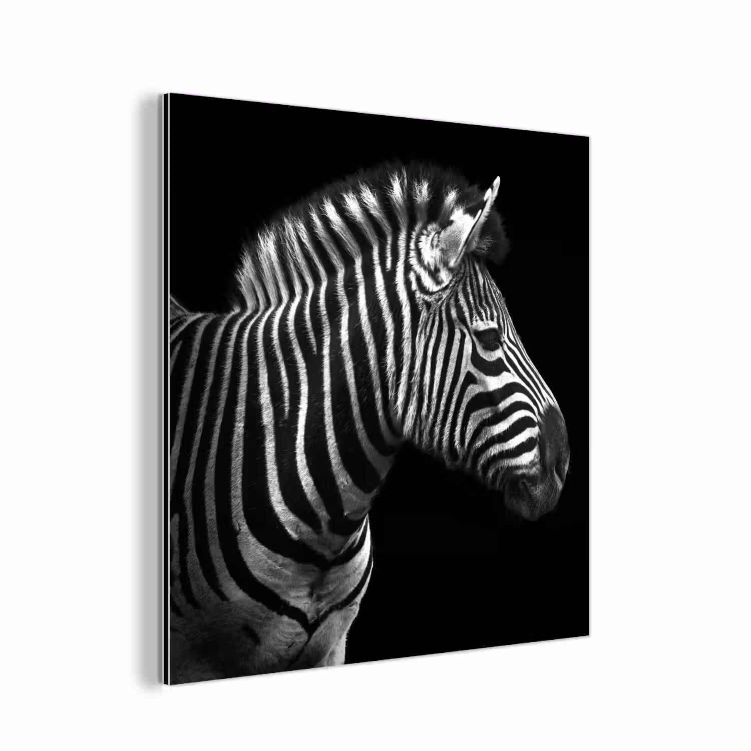 Zebra - Zwart - Wit - Portret - Dieren aluminium wit klein -3d