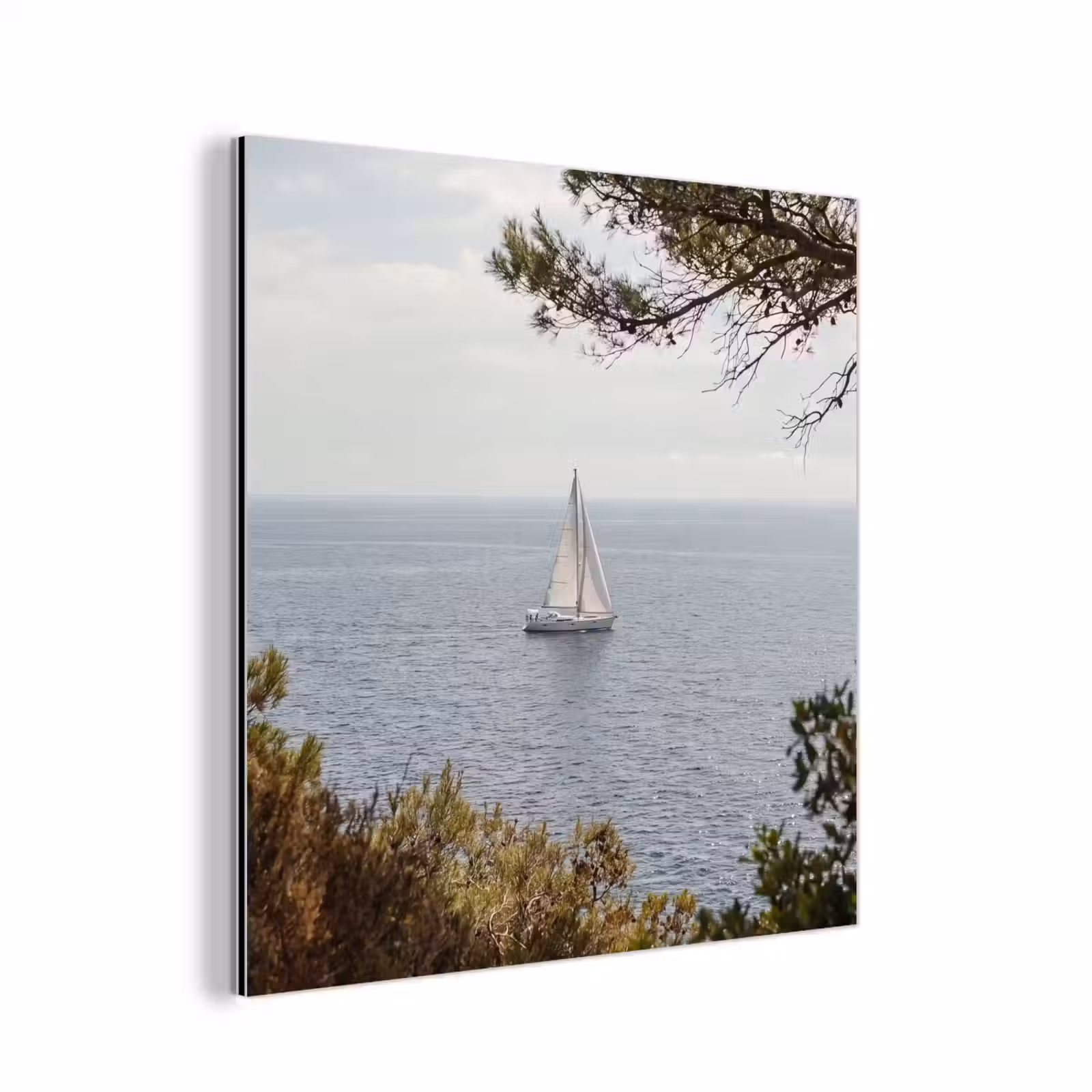 Aluminium schilderij - Zeilboot - bomen - water - Zeilboot - bomen - water aluminium wit klein