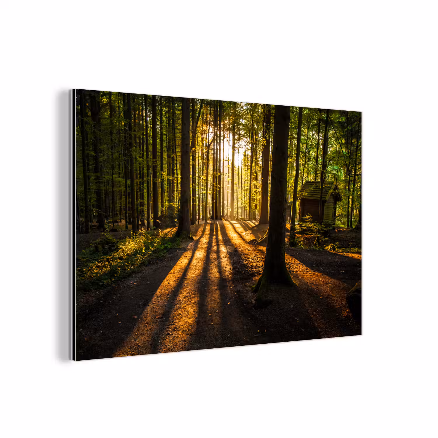 Zon - Bomen - Bos - Landschap - Natuur aluminium wit klein -3d