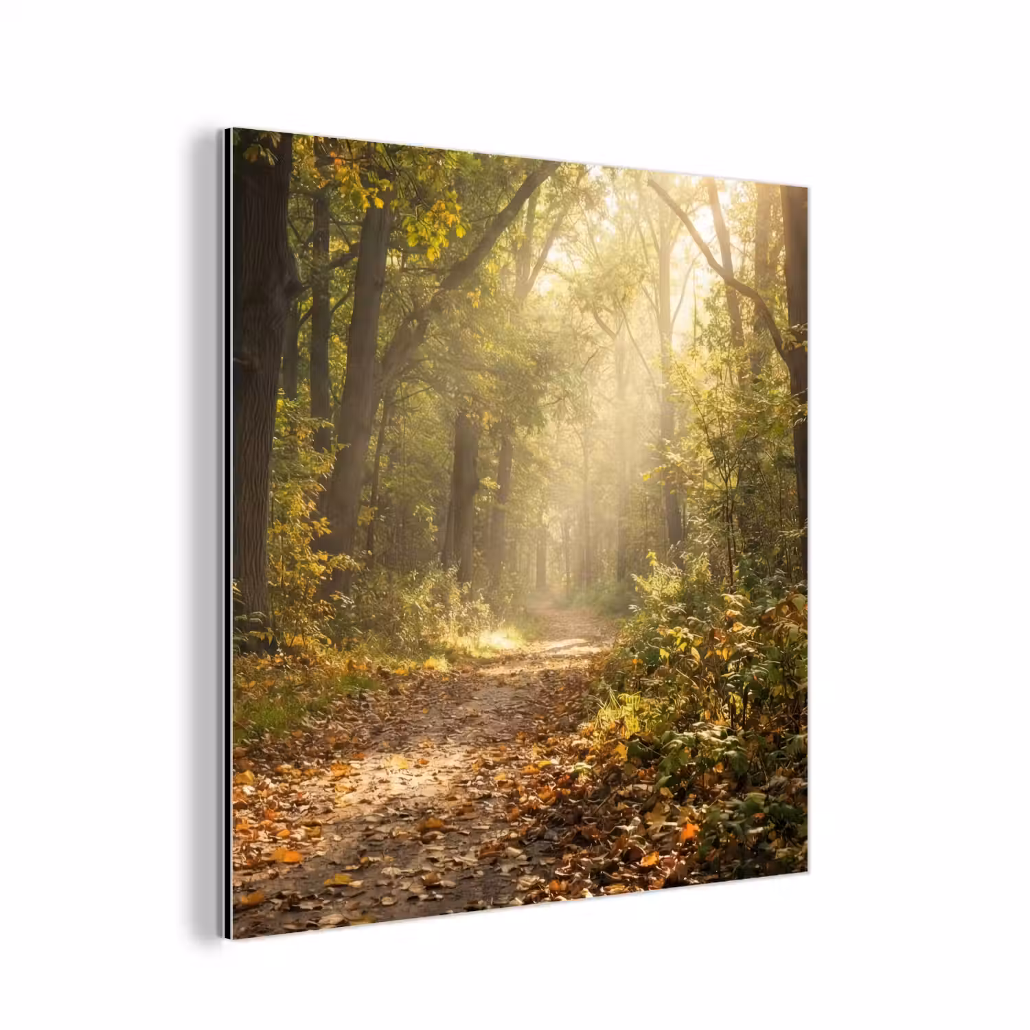 Zonlicht - Bospad - Bomen aluminium wit klein -3d