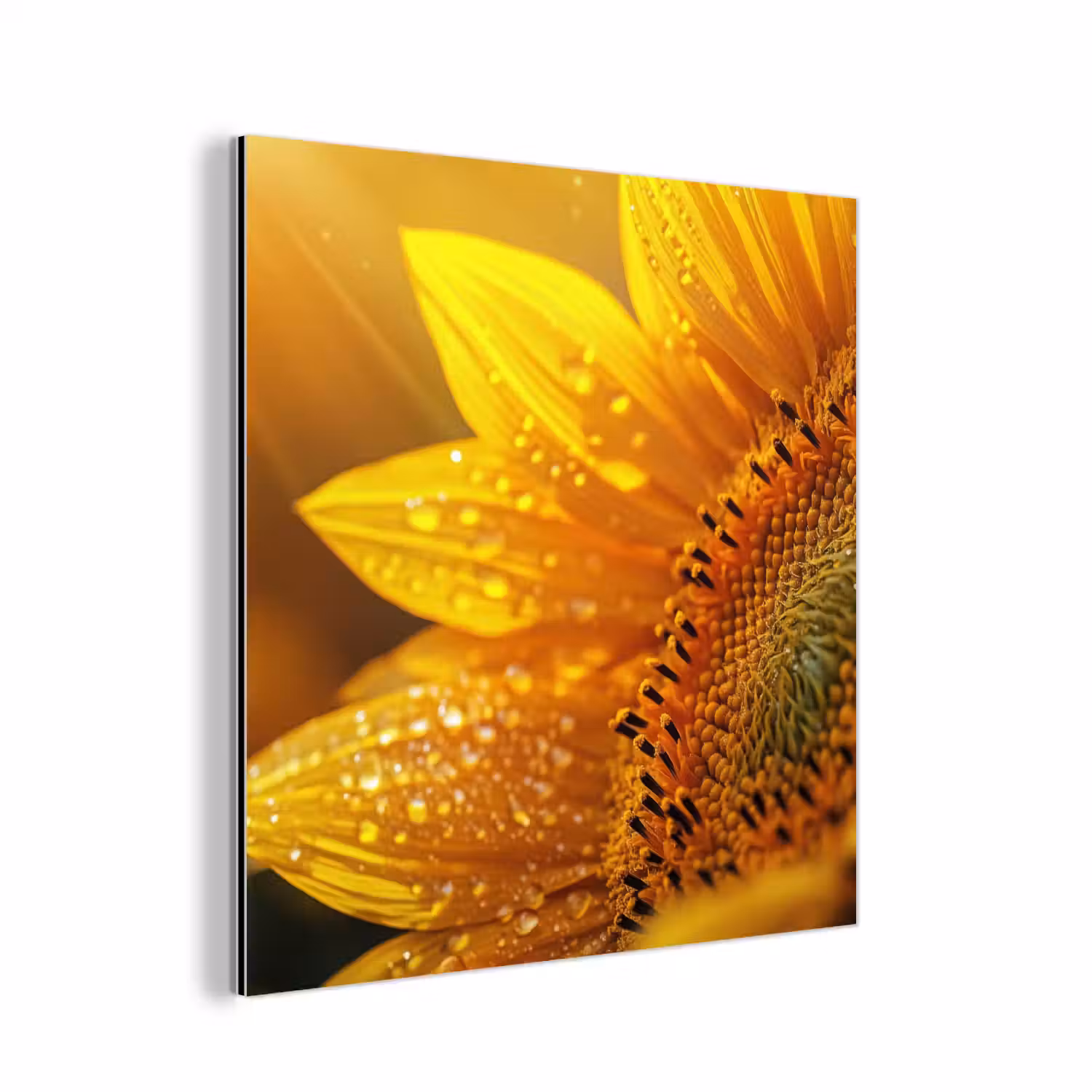 Zonnebloem - Dauwdruppels - Geel - Zonlicht aluminium wit klein -3d